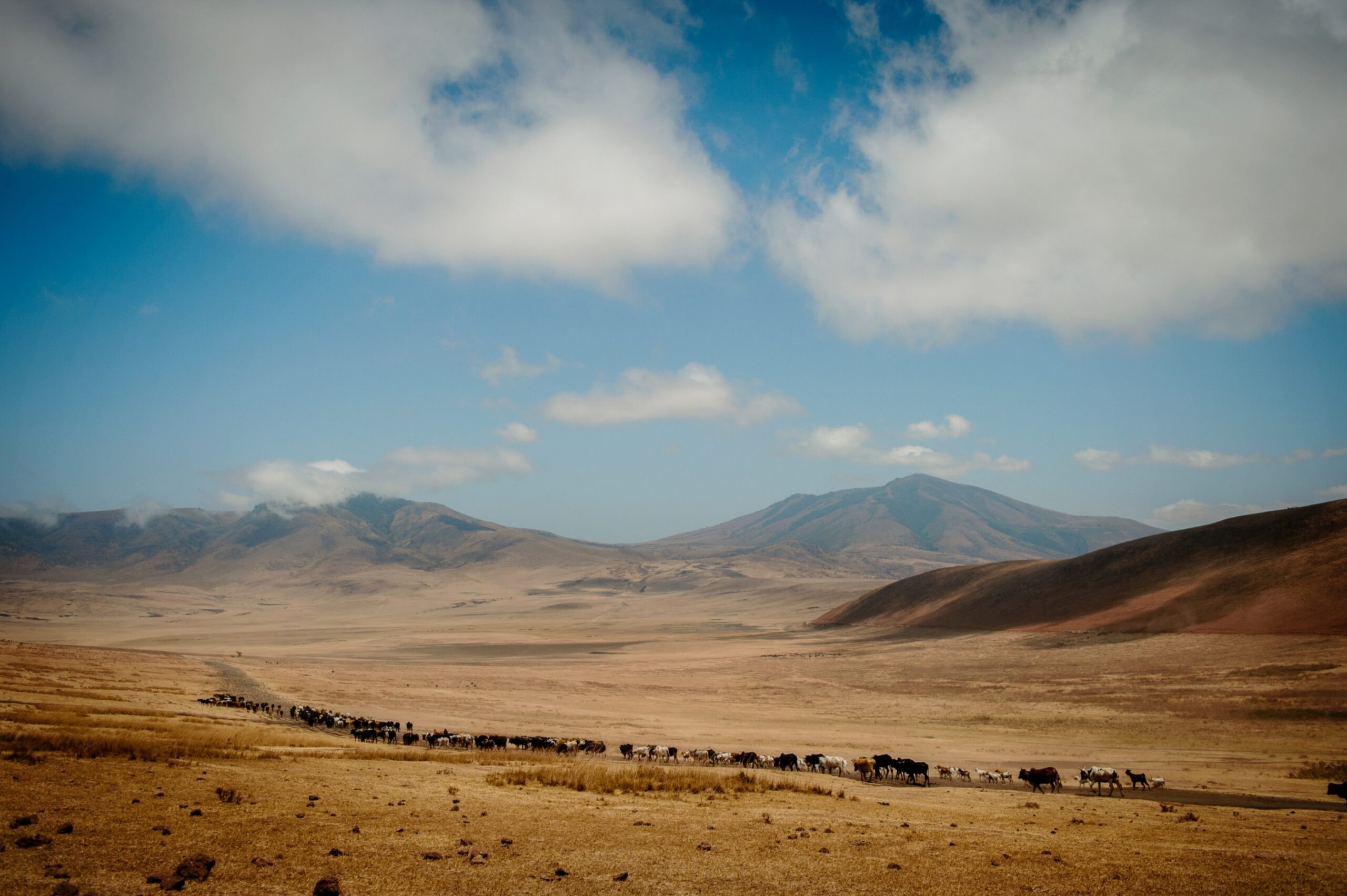/wp-content/uploads/2022/07/EntamanuNgorongoro01-copy-scaled.jpg