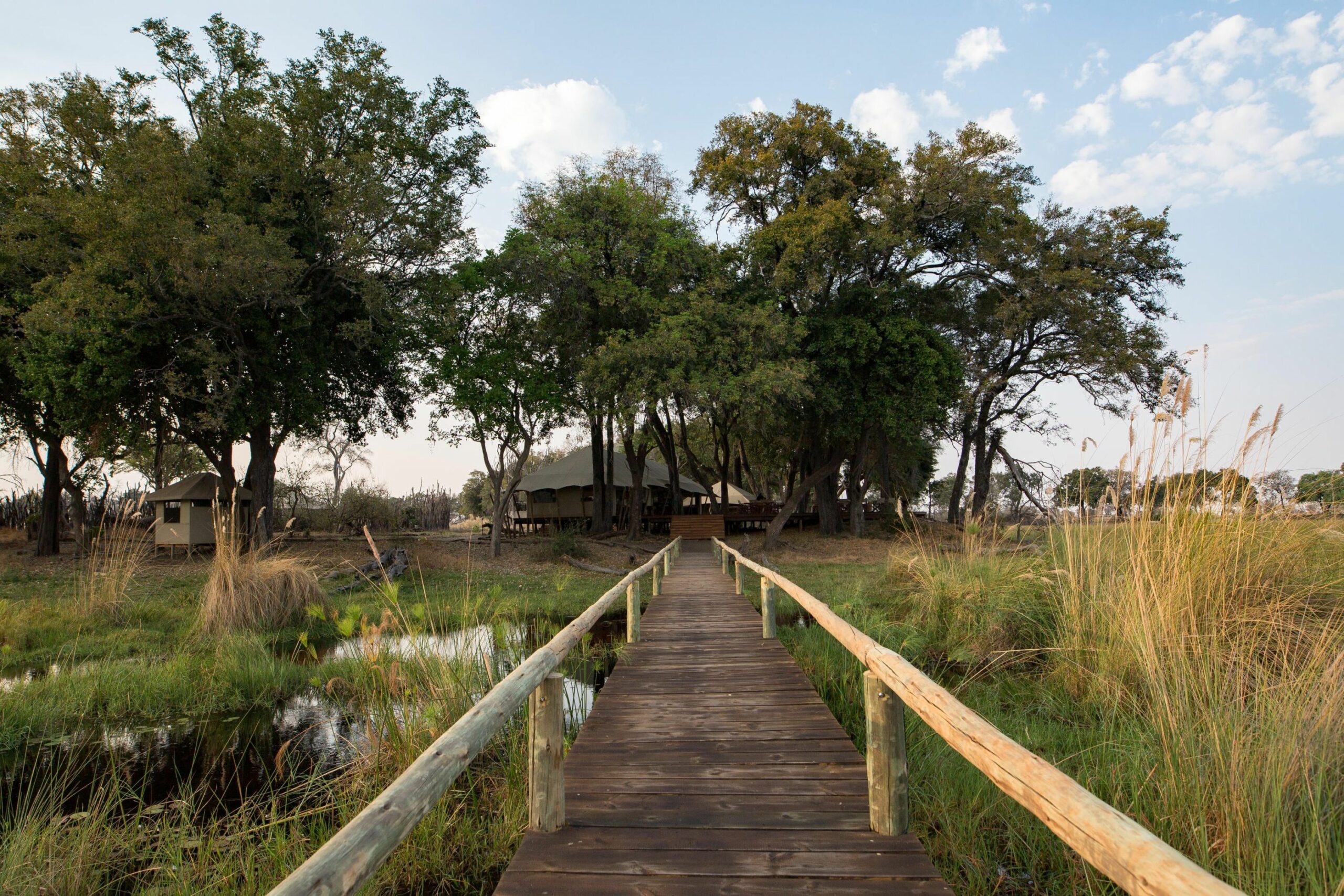 https://www.trackssafaris.co.uk/wp-content/uploads/2022/07/Entry-Bridge-Duba-Explorers--scaled.jpg