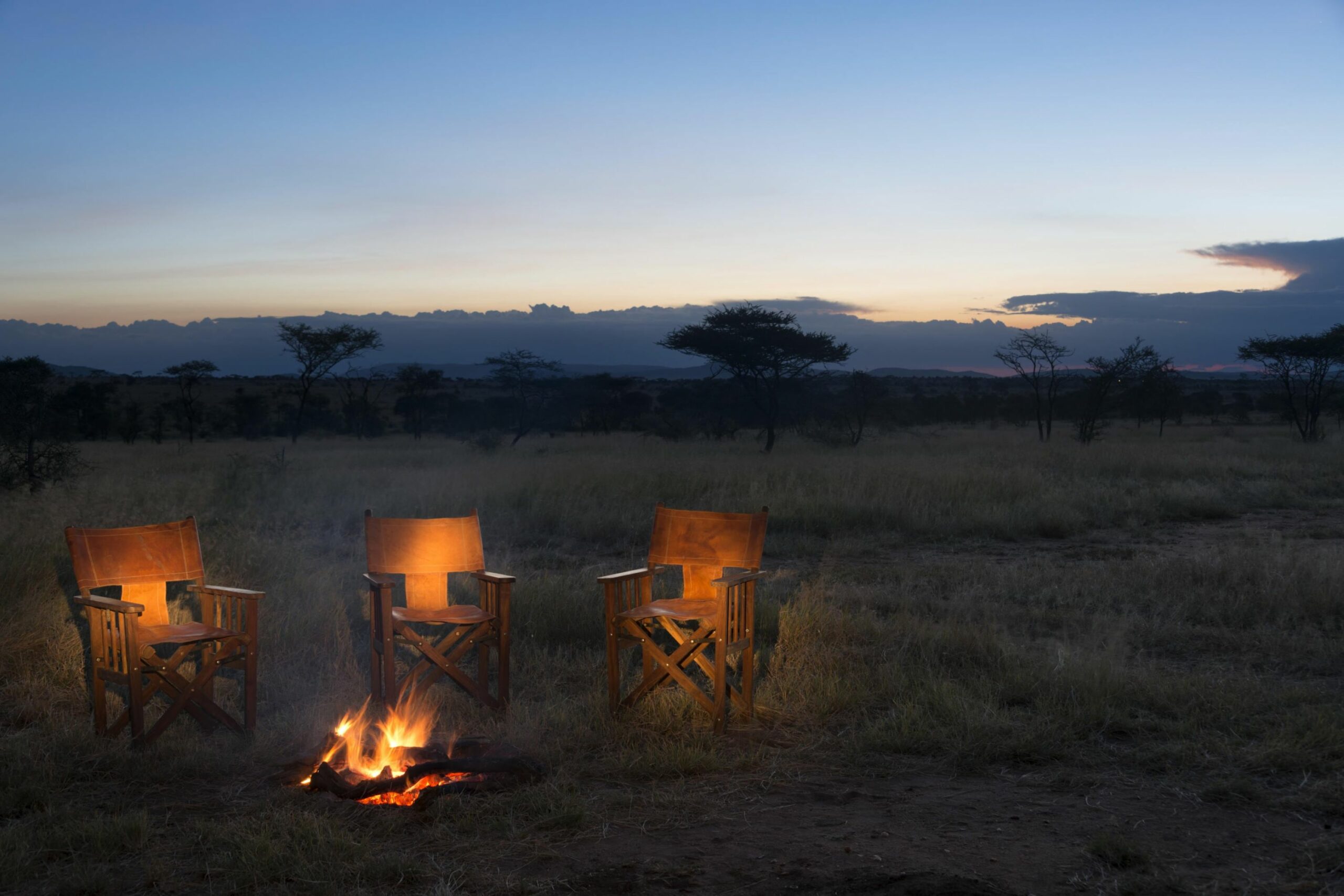 /wp-content/uploads/2022/07/Fireside-in-the-Serengeti-scaled.jpg