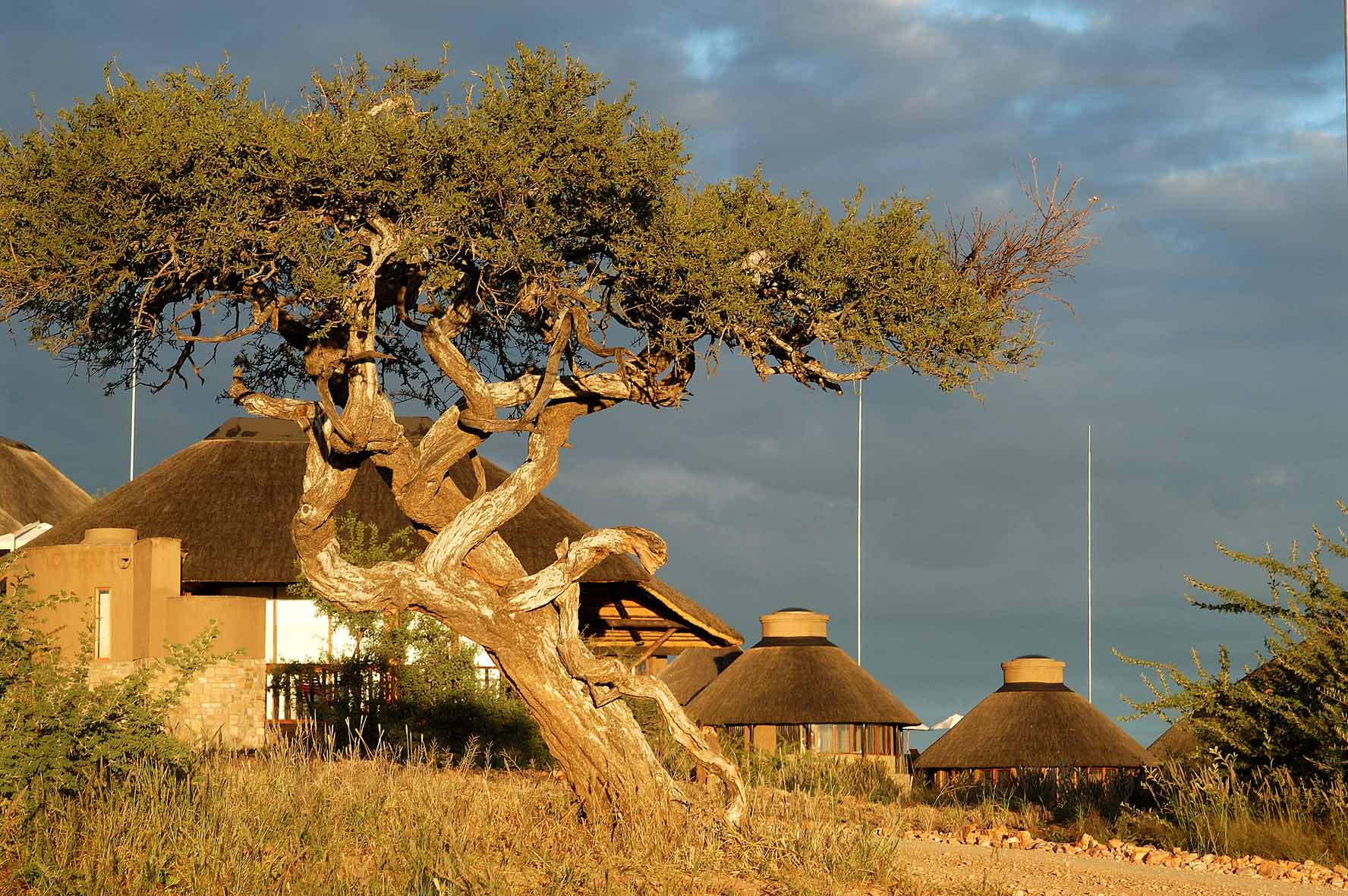 GocheGanas_Lodge
