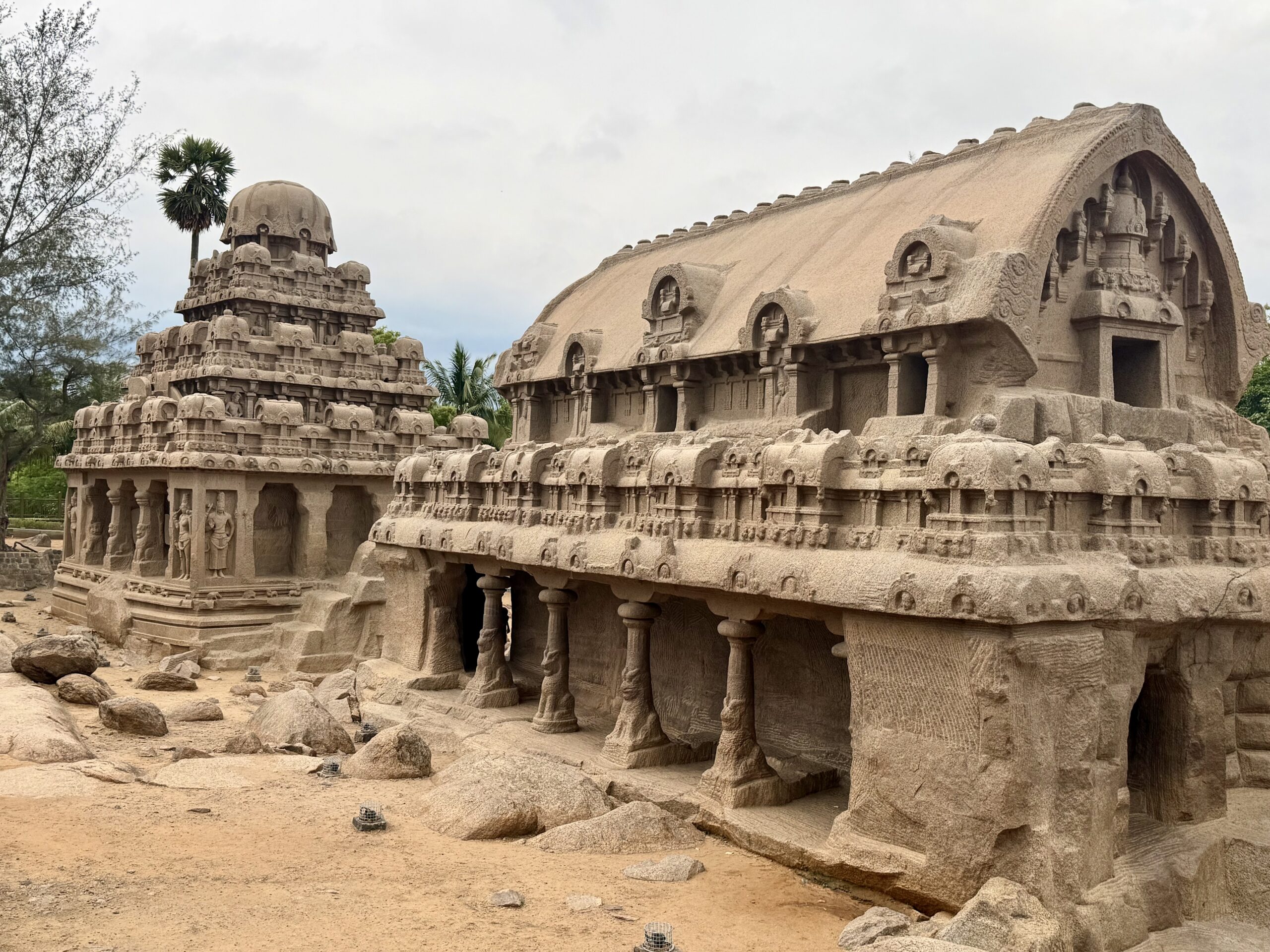 18 Night Wildlife and Culture of Southern India