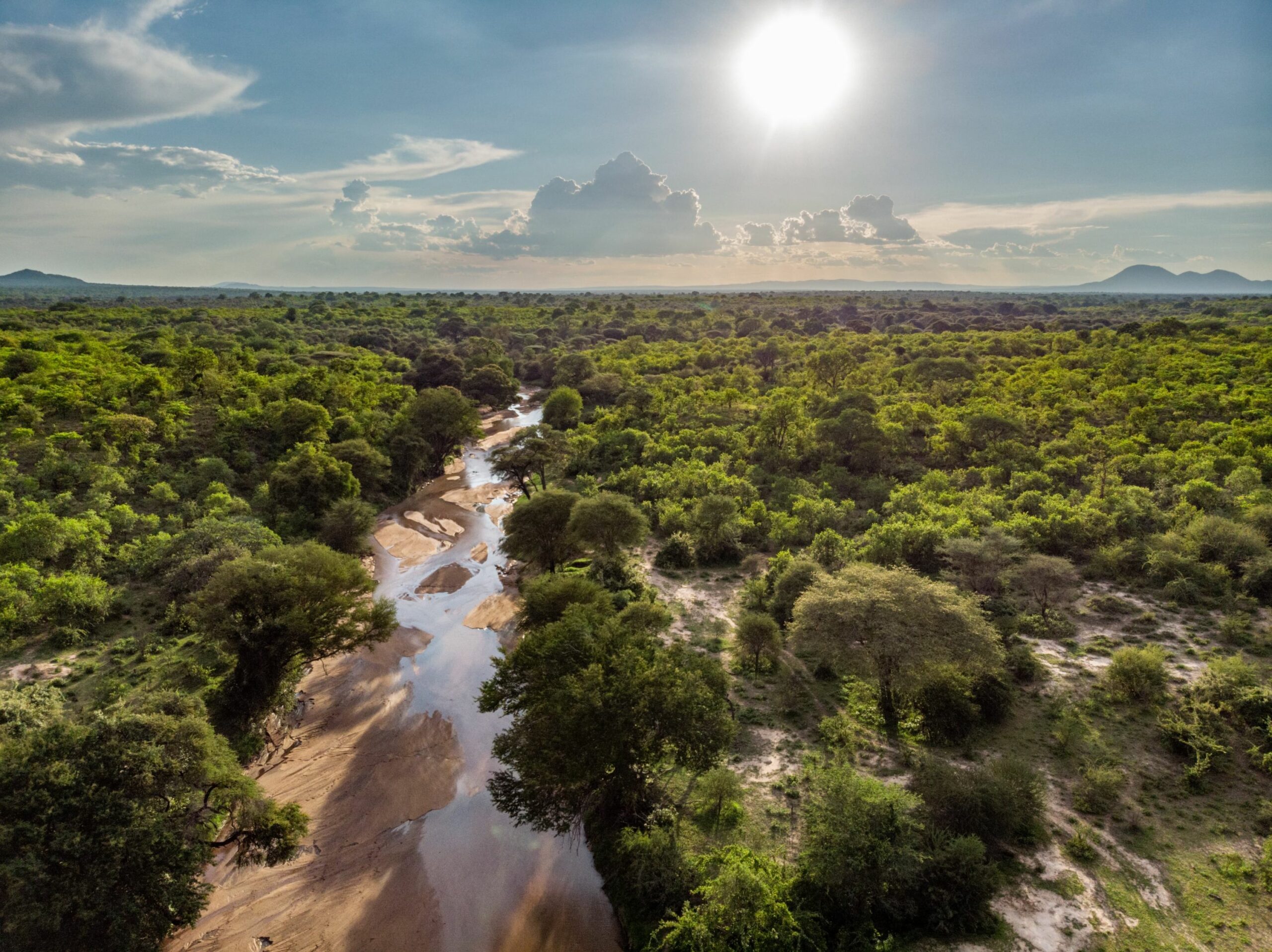 /wp-content/uploads/2022/07/Jongomero-aerial-view-copy-scaled.jpg