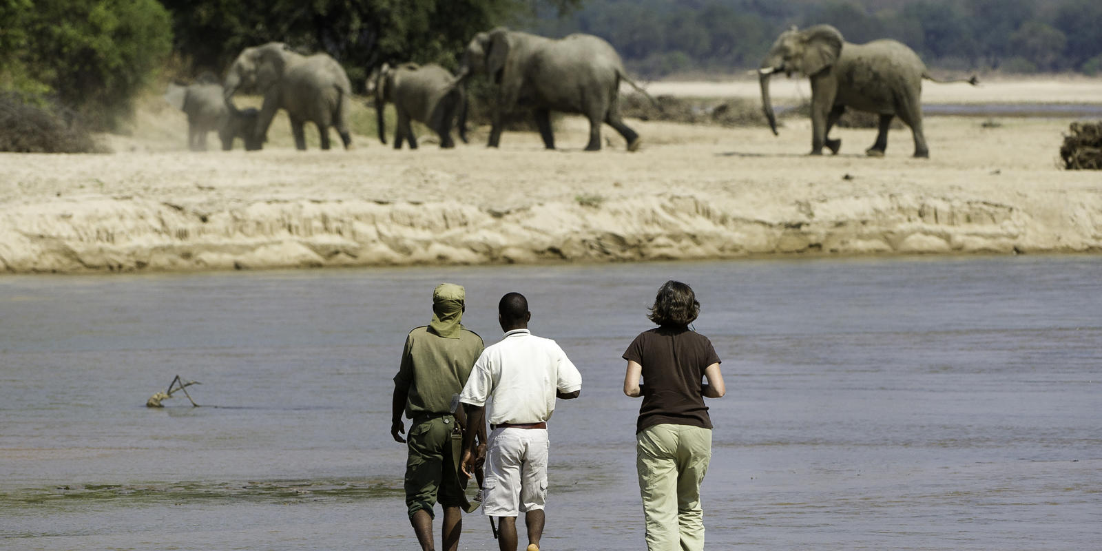 https://www.trackssafaris.co.uk/wp-content/uploads/2022/07/Kapamba-Bushcamp_3.jpg