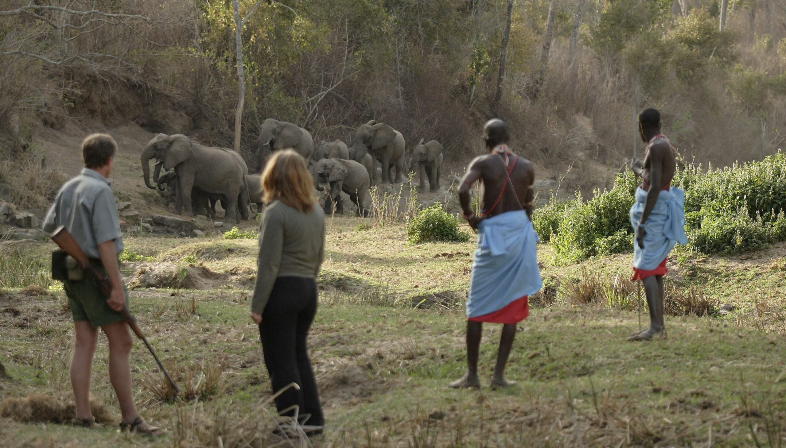 /wp-content/uploads/2022/07/Kitich-Camp-Forest-Walk-Elephants-scaled.jpg
