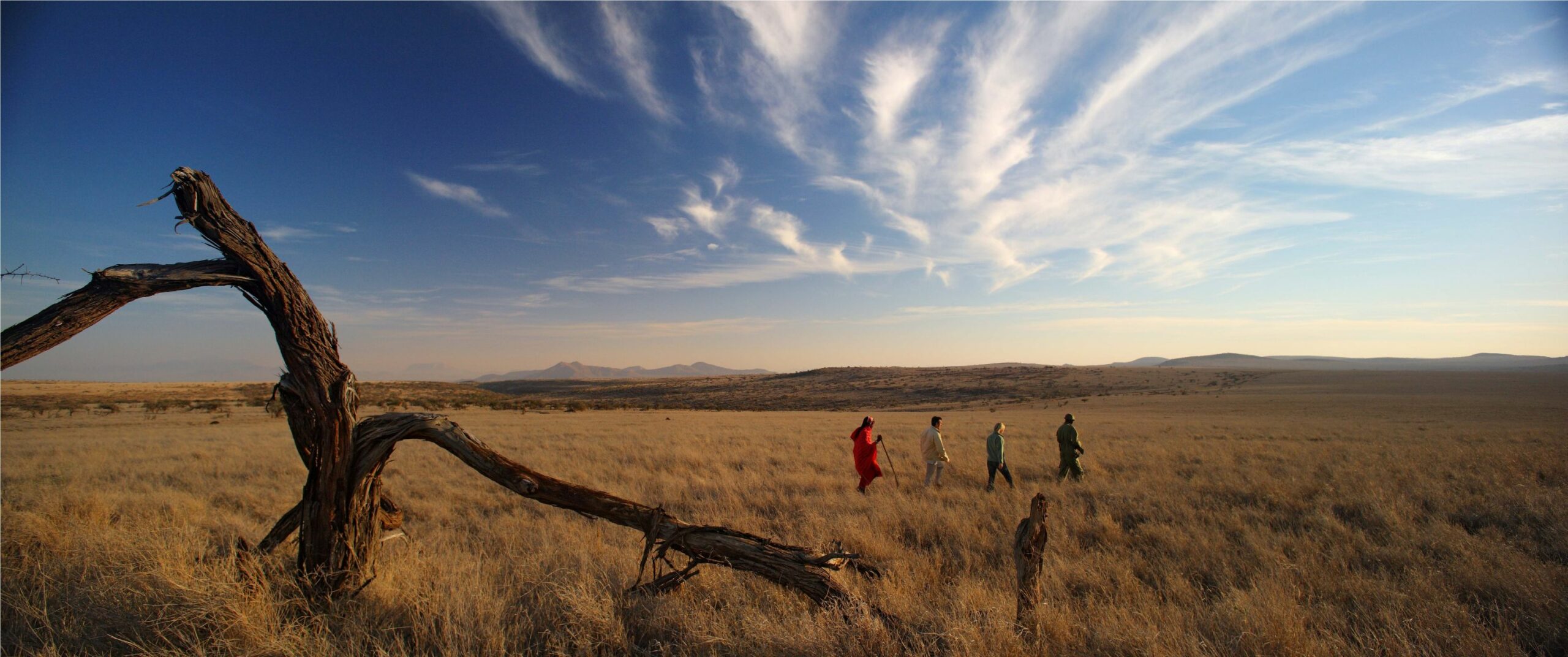 /wp-content/uploads/2022/07/Lewa-Safari-Camp-Bush-Walk-scaled.jpg
