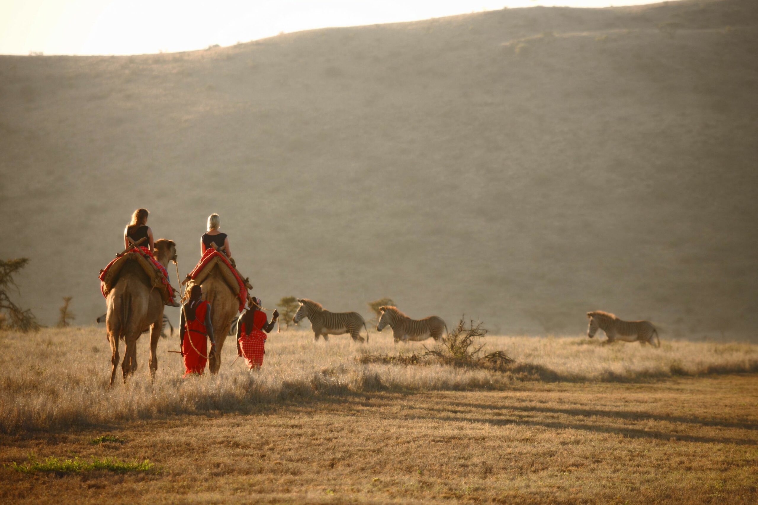 /wp-content/uploads/2022/07/Lewa-Safari-Camp-Camel-Trekking-2-copy-scaled.jpg