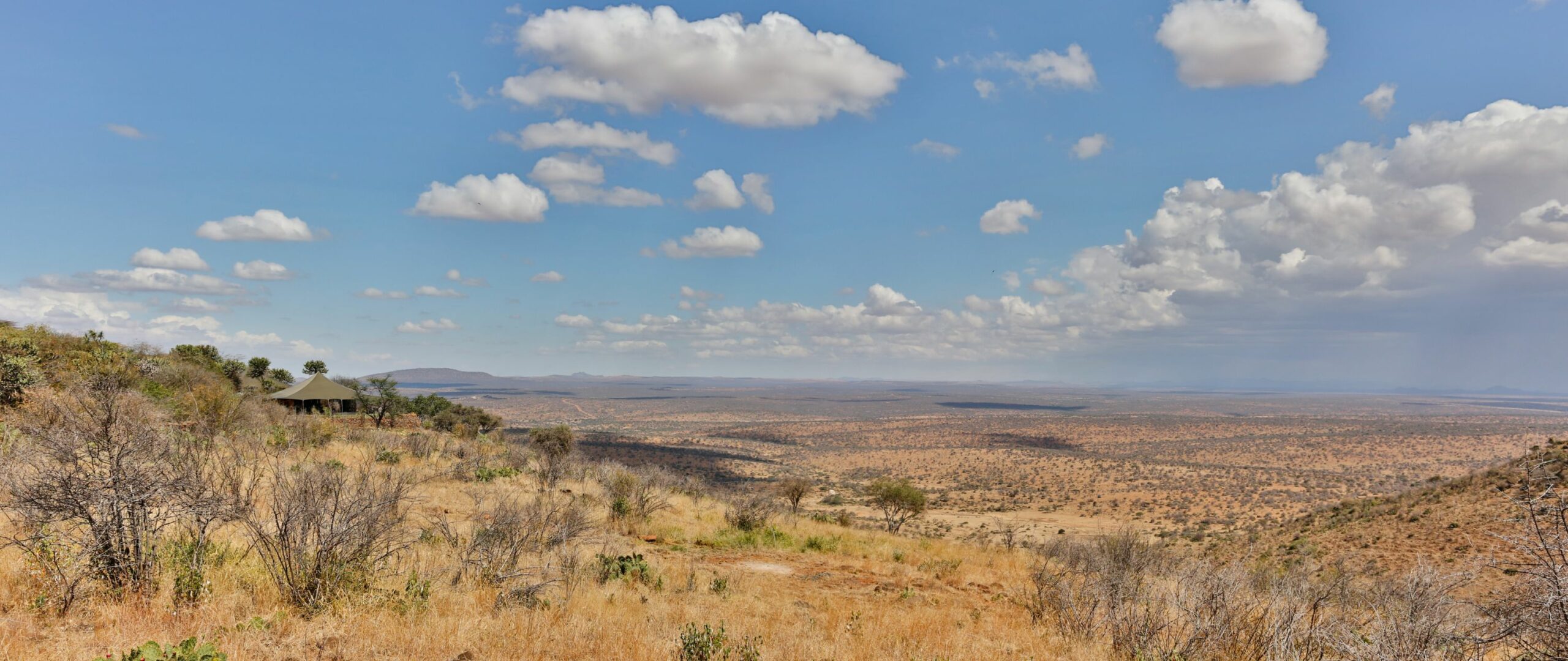 /wp-content/uploads/2022/07/Loisaba-Tented-Camp-External-View-copy-scaled.jpg