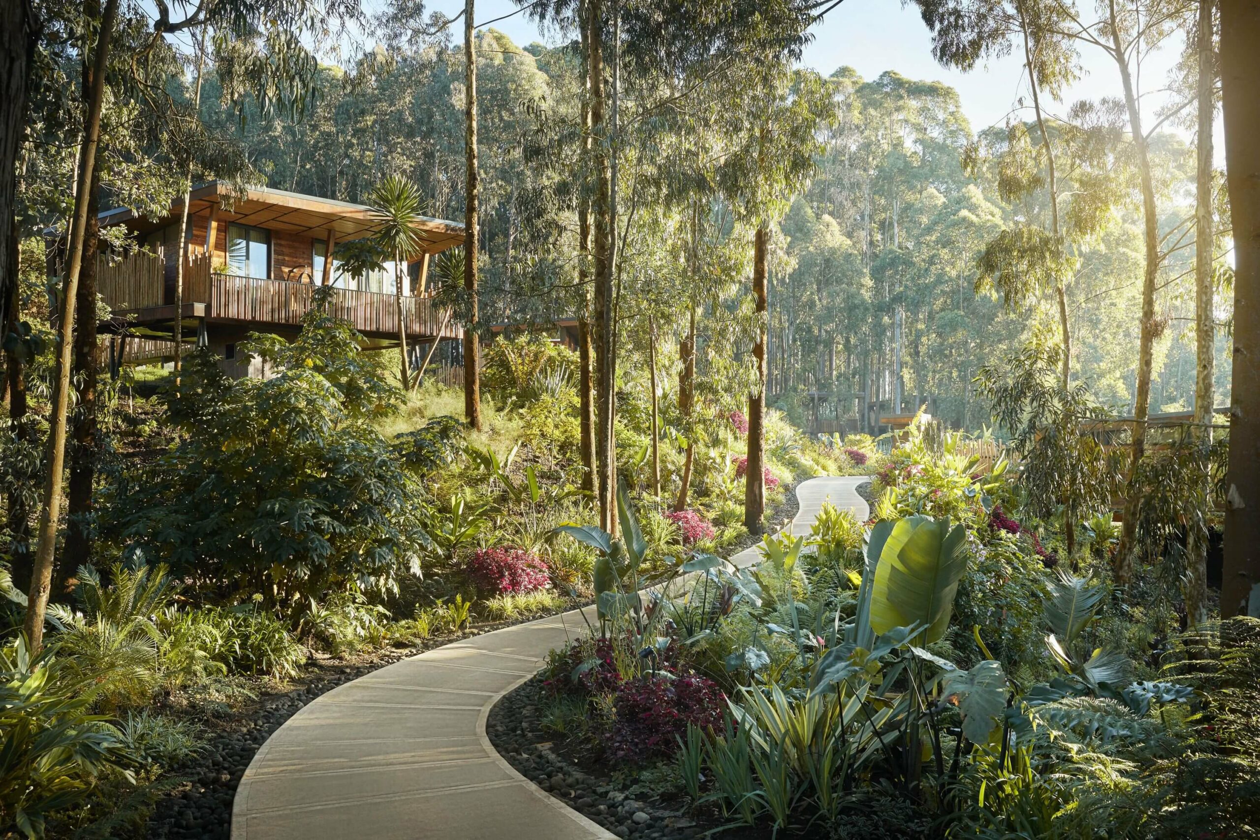 /wp-content/uploads/2022/07/OO_GorillasNest_Exteriors_Villa_Wide_17041_MASTER-copy1-scaled.jpg