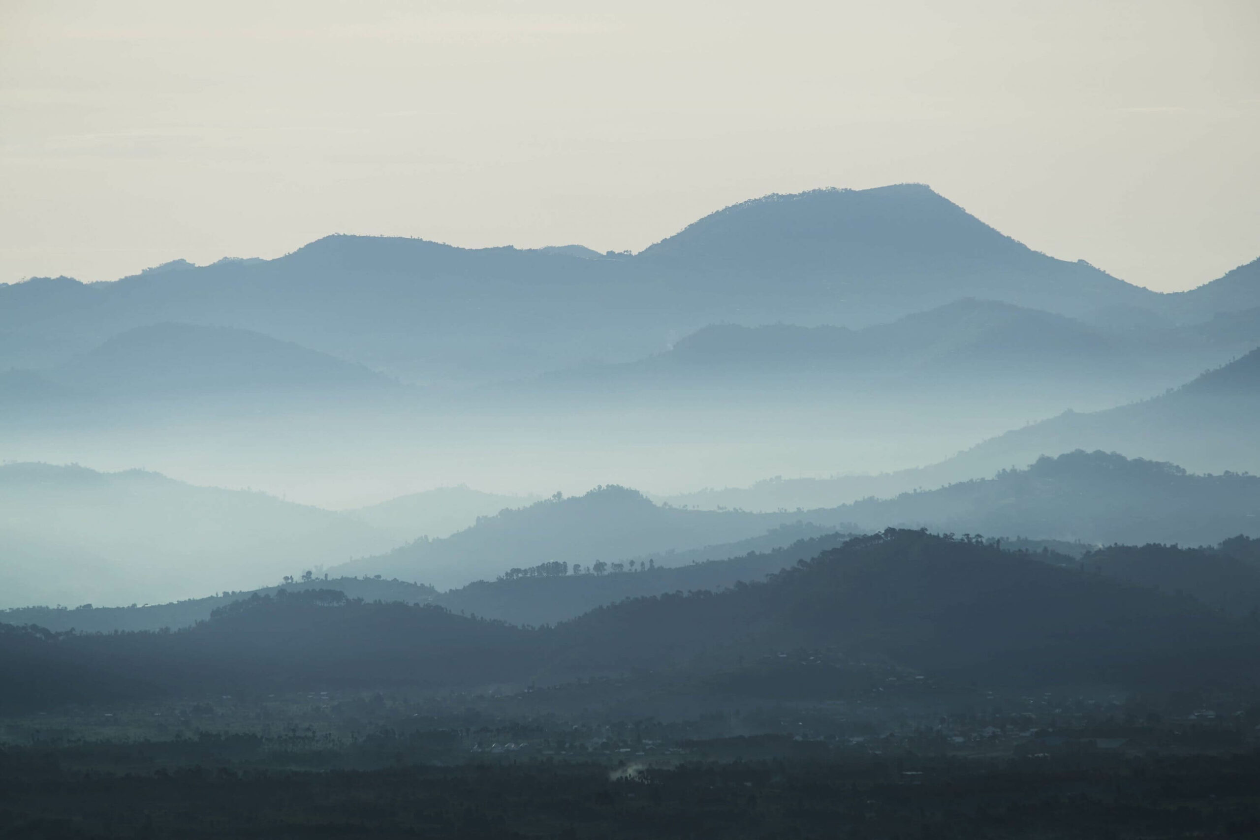 /wp-content/uploads/2022/07/OO_GorillasNest_Flora_Fauna_Sunrise_Mountains_2645_MASTER-copy-scaled.jpg