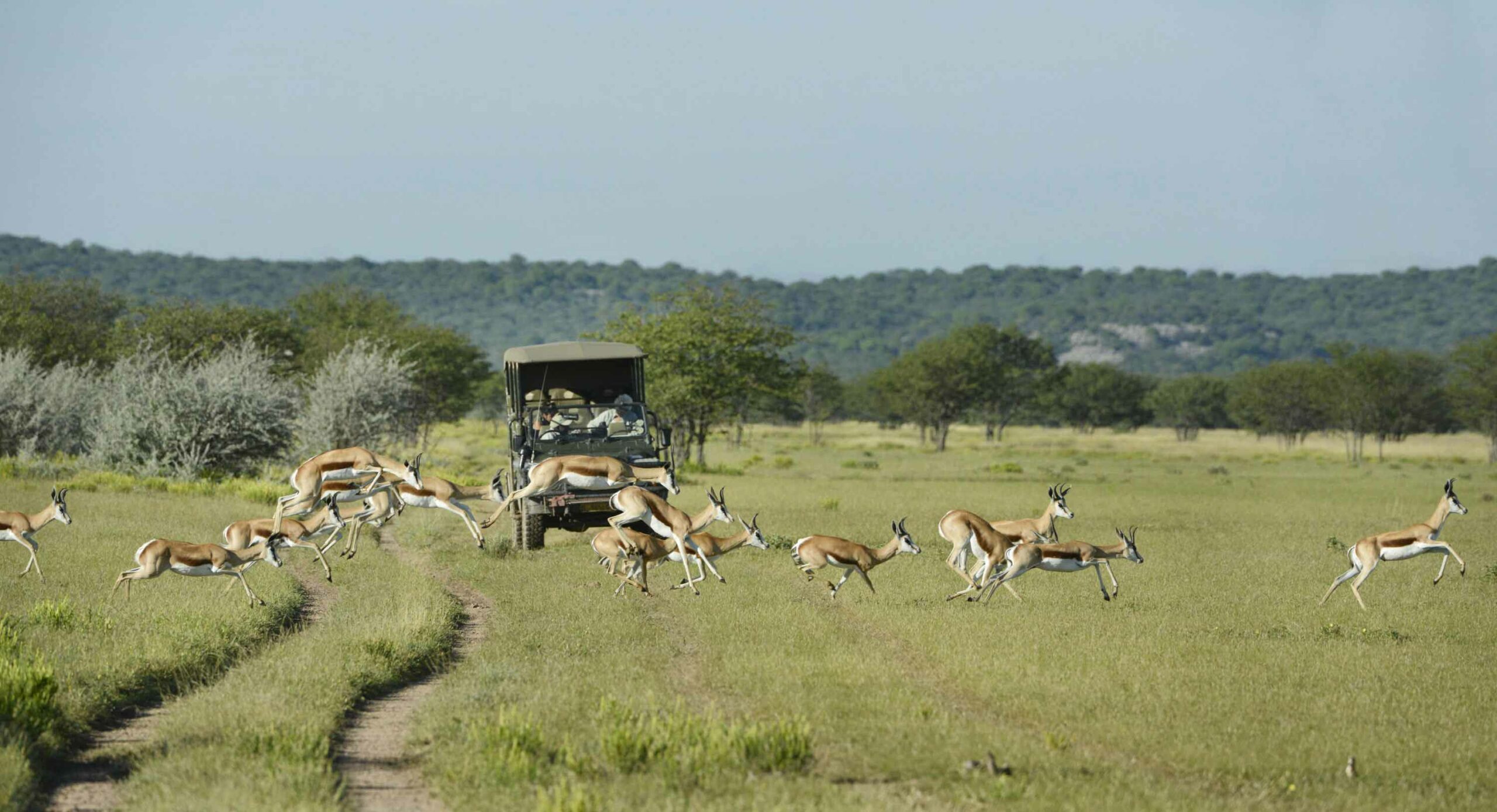 ongava