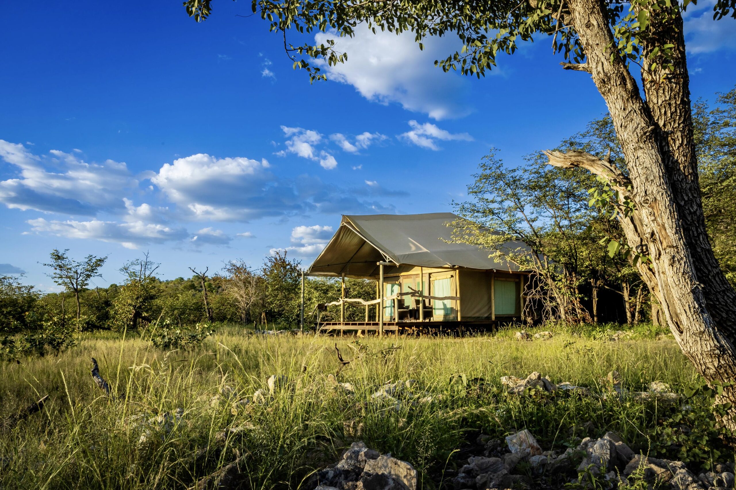 Ongava Tented Camp – Ongava Game Reserve – Etosha National Park