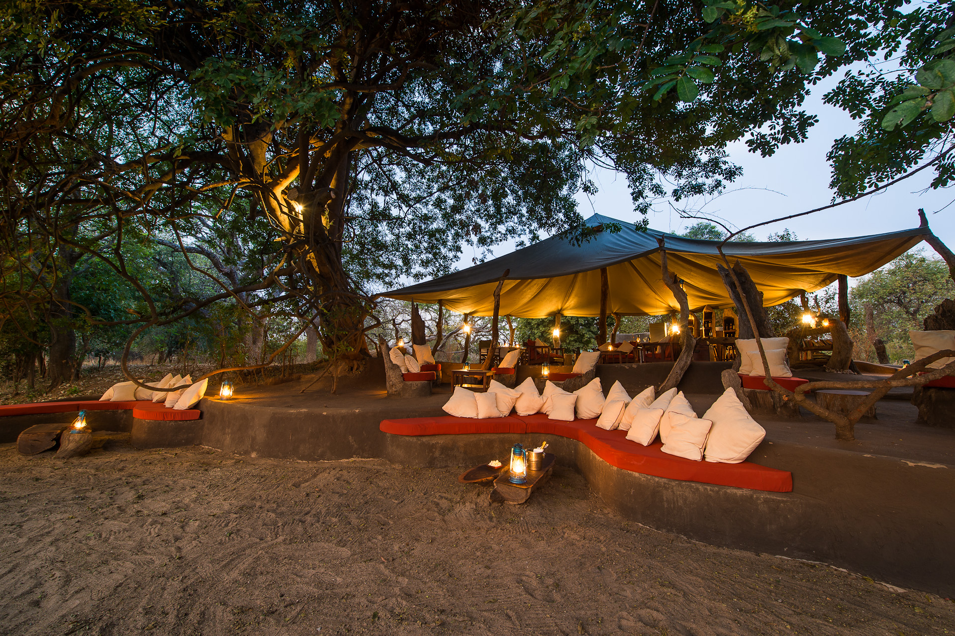 https://www.trackssafaris.co.uk/wp-content/uploads/2022/07/RPS_2012-09-134e-copy-2.jpg