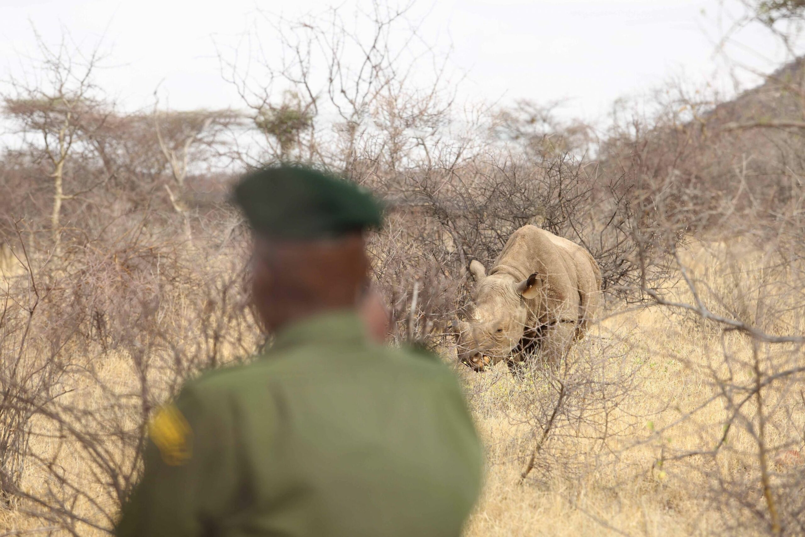 /wp-content/uploads/2022/07/Saruni-Rhino--scaled.jpg