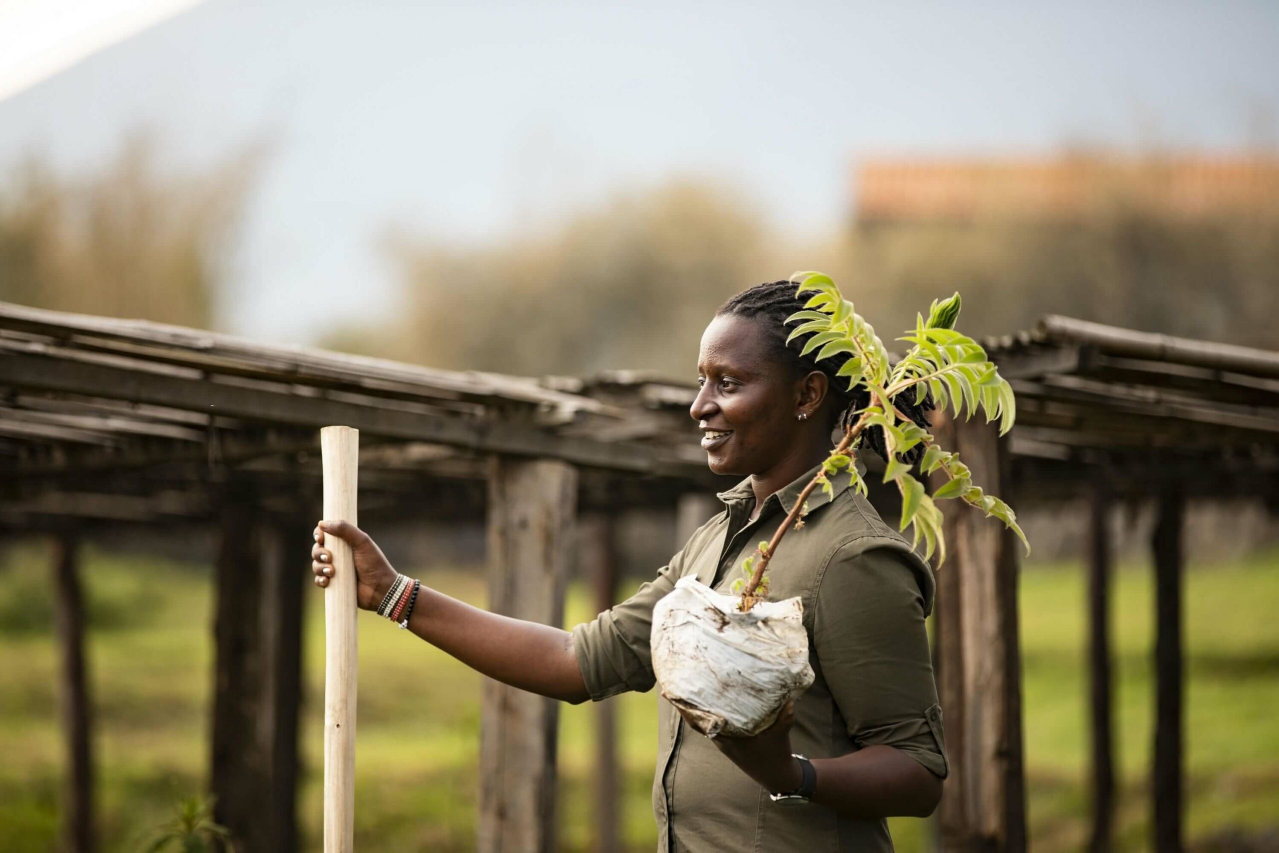 /wp-content/uploads/2022/07/Singita-Volvanoes-National-Park-Akarabo-Nursery-scaled.jpg