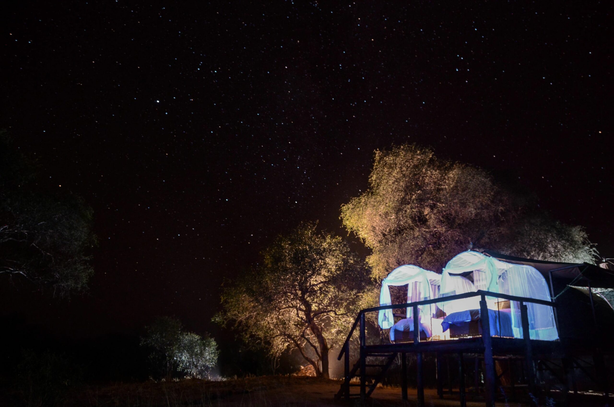 https://www.trackssafaris.co.uk/wp-content/uploads/2022/07/Star-bed-experience-at-Jozi-scaled.jpg