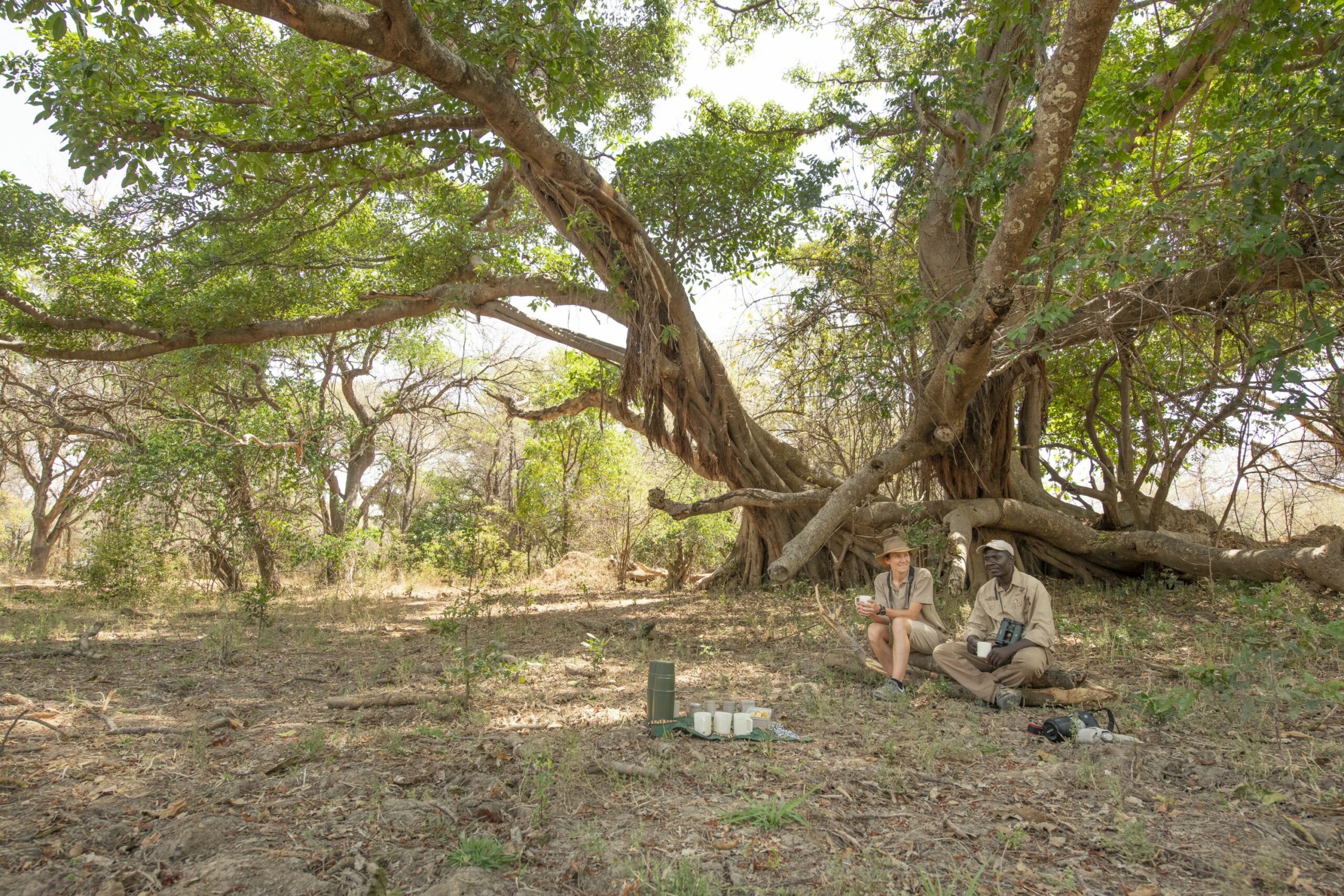 https://www.trackssafaris.co.uk/wp-content/uploads/2022/07/Takwela-Camp-walking-safari-tea-stop-copy-scaled.jpg