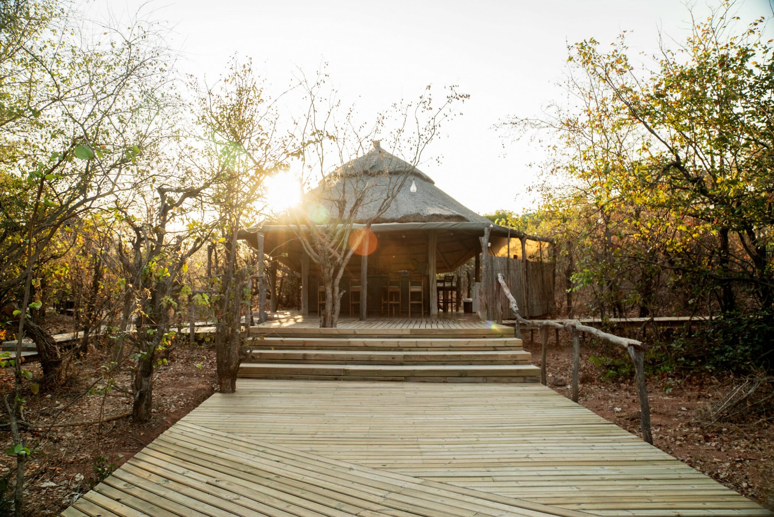 https://www.trackssafaris.co.uk/wp-content/uploads/2022/07/The-Changa-Bar-scaled.jpg