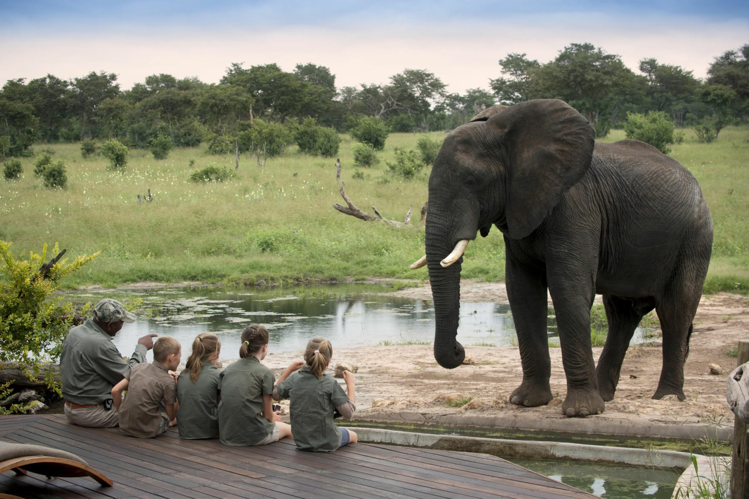https://www.trackssafaris.co.uk/wp-content/uploads/2022/07/The-Elephant-Experience-at-Somalisa-Acacia-scaled.jpg