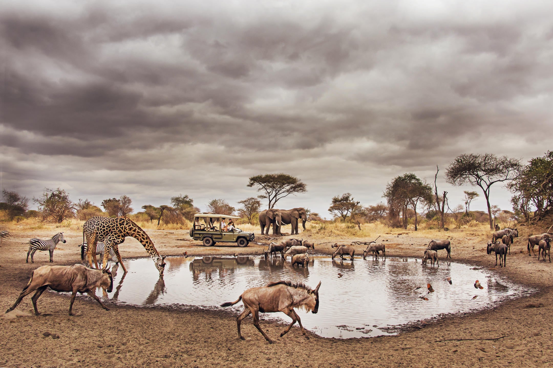 /wp-content/uploads/2022/07/The-home-of-slow-safari.jpg