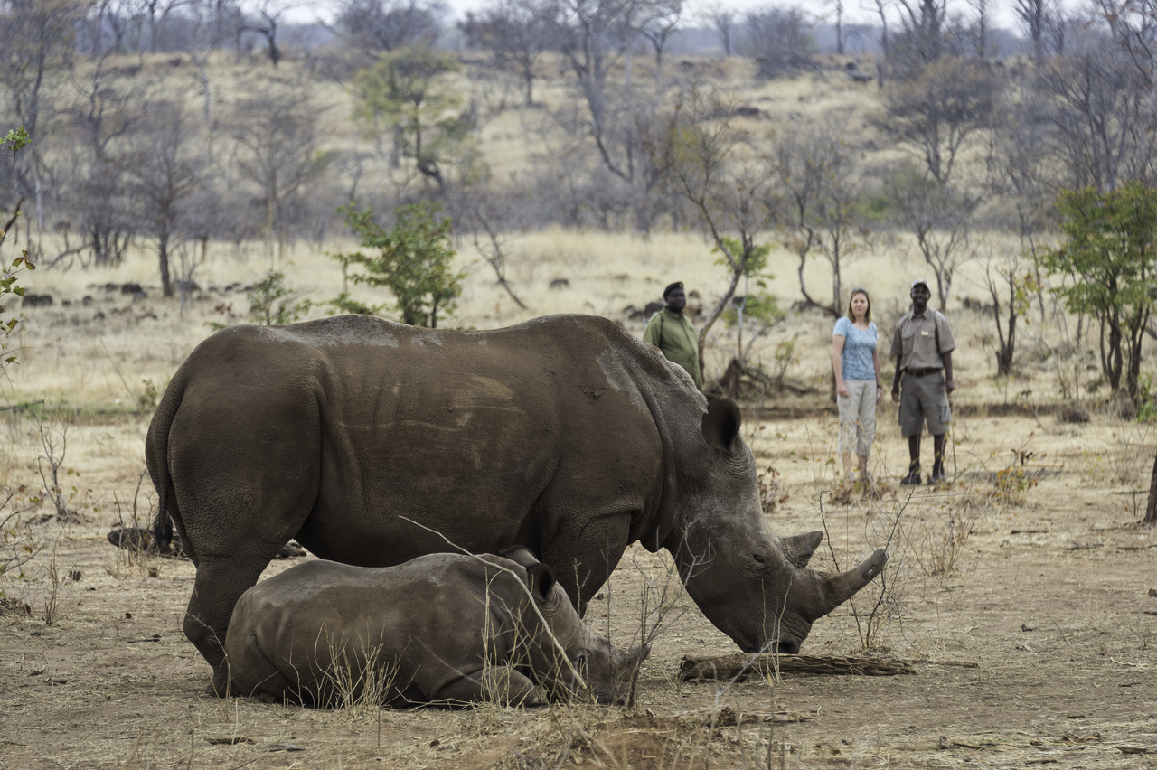 https://www.trackssafaris.co.uk/wp-content/uploads/2022/07/Toka_Leya_2014-09-59-copy.jpg
