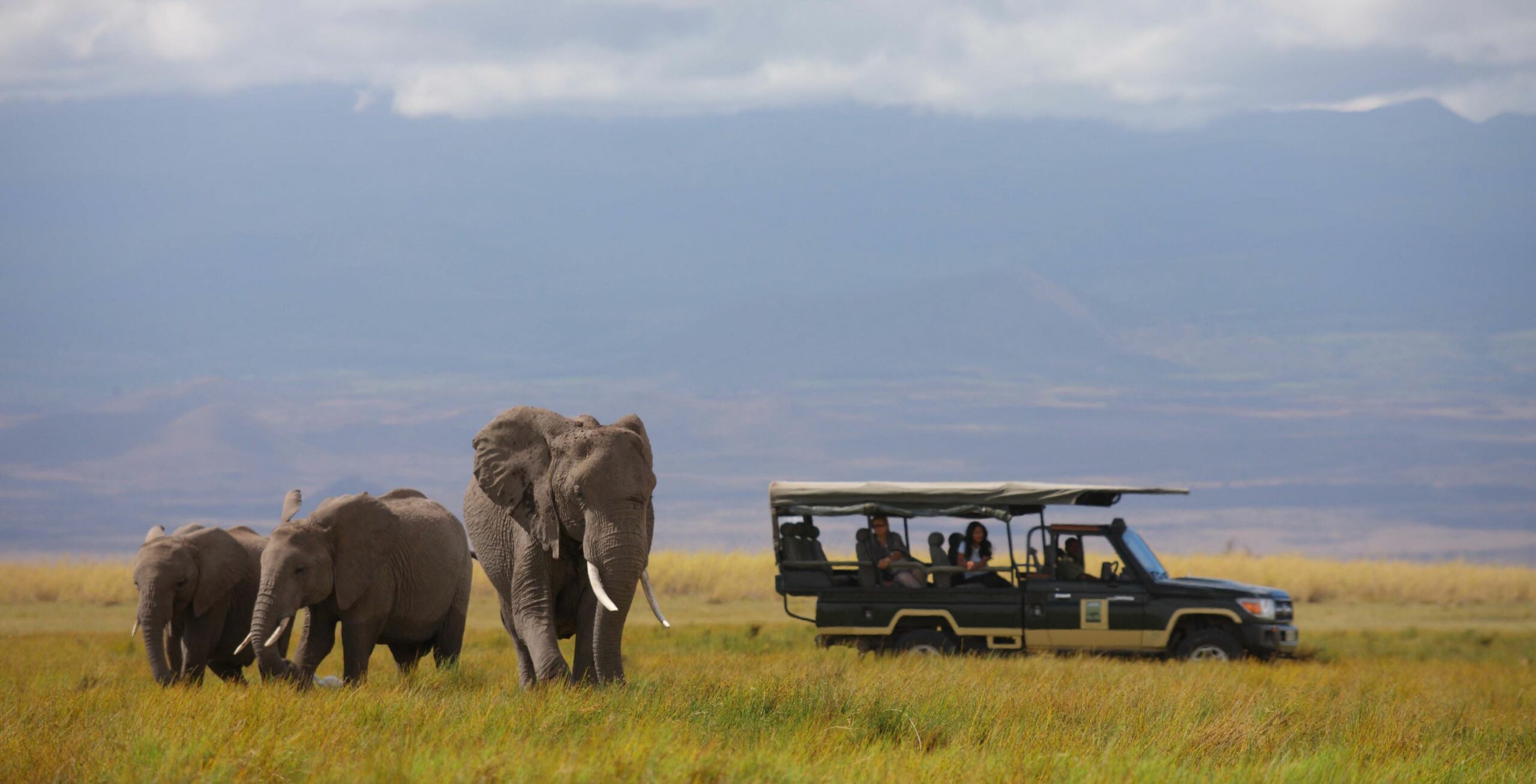 /wp-content/uploads/2022/07/Tortilis-Camp-Game-Drive-Elephants-scaled.jpg