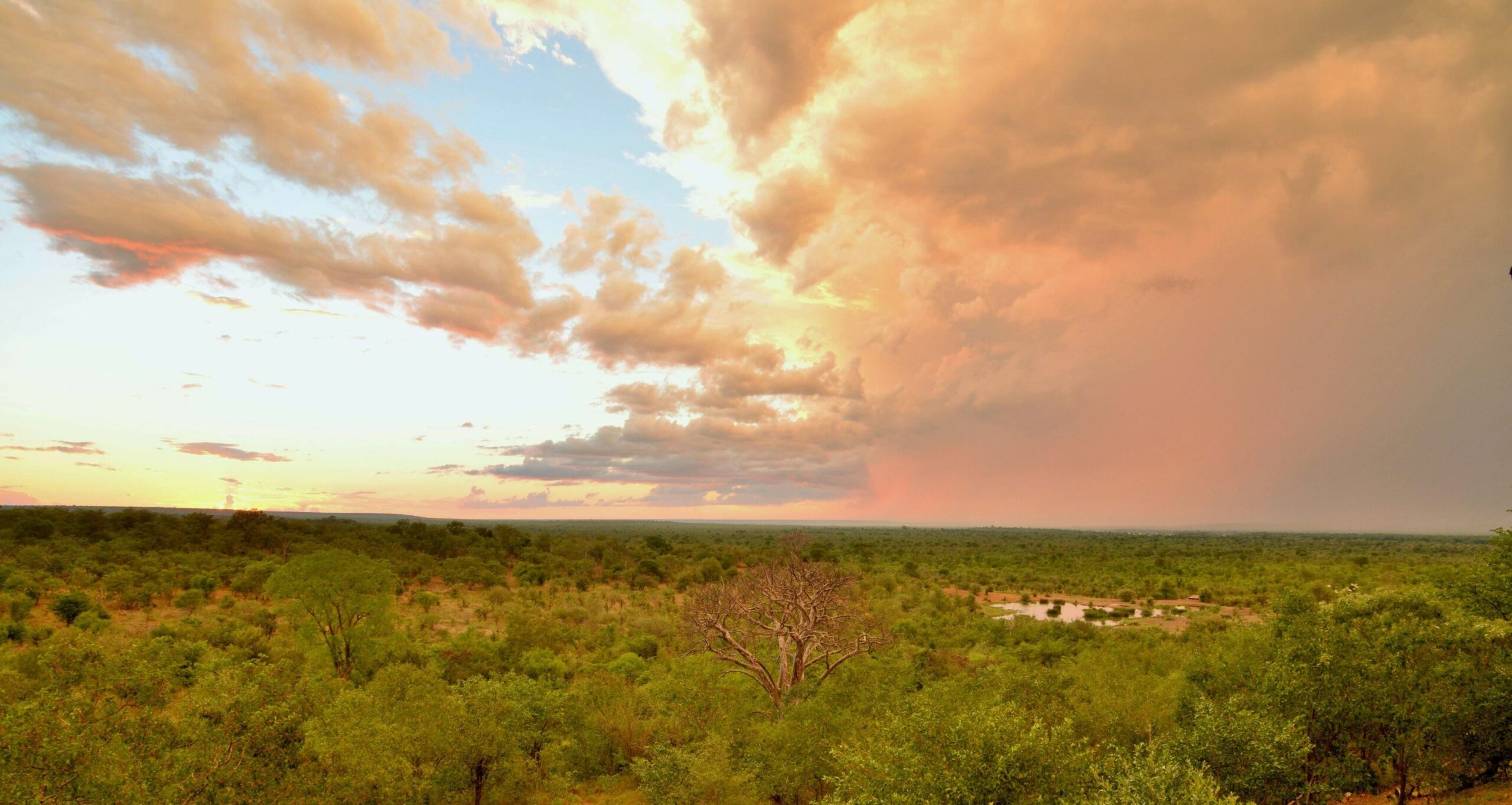 https://www.trackssafaris.co.uk/wp-content/uploads/2022/07/Victoria-Falls-Safari-Lodge-waterhole1-scaled.jpg
