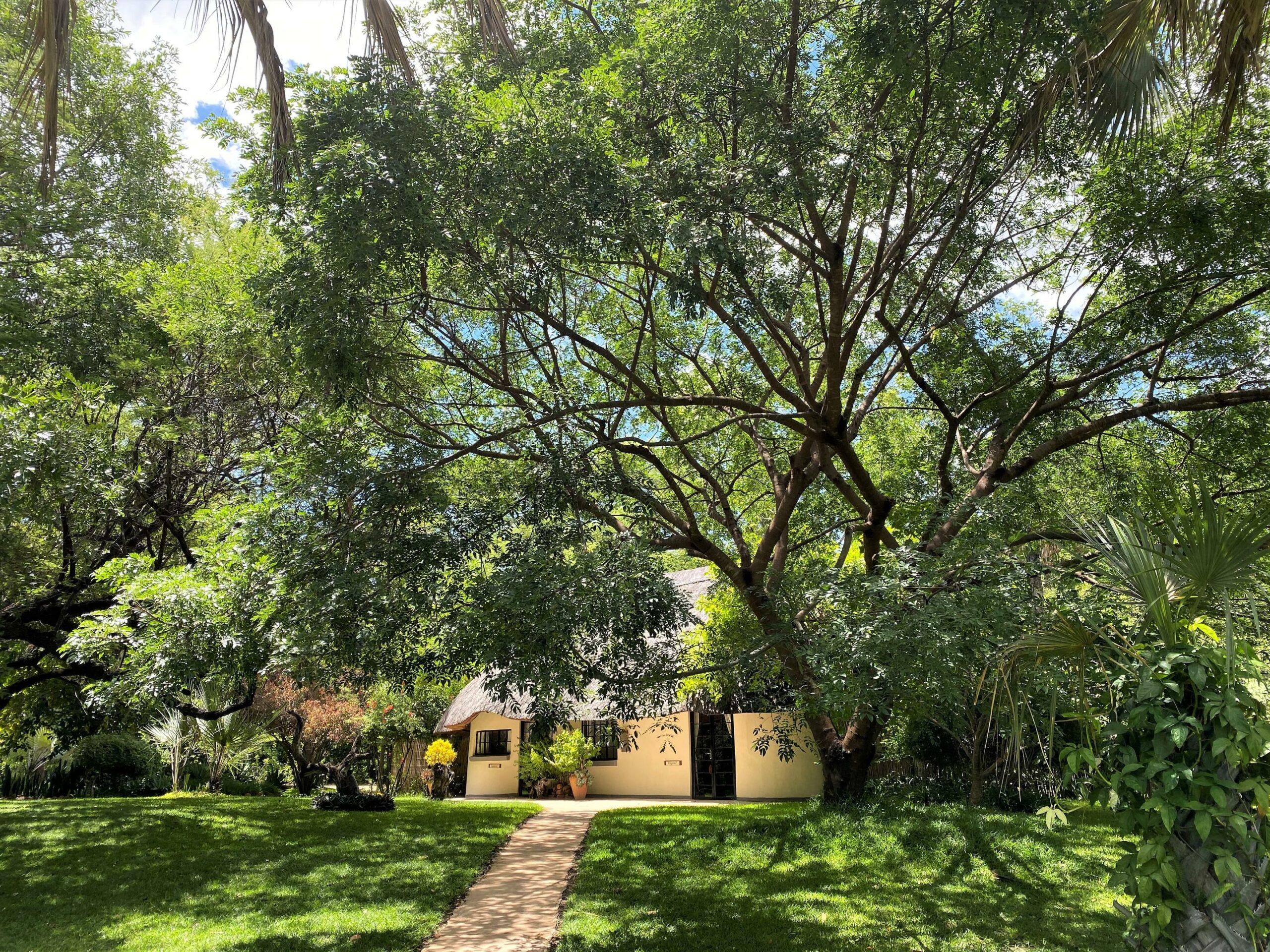 https://www.trackssafaris.co.uk/wp-content/uploads/2022/07/Waterberry-Wagtail-and-Sunbird-Cottages--scaled.jpg