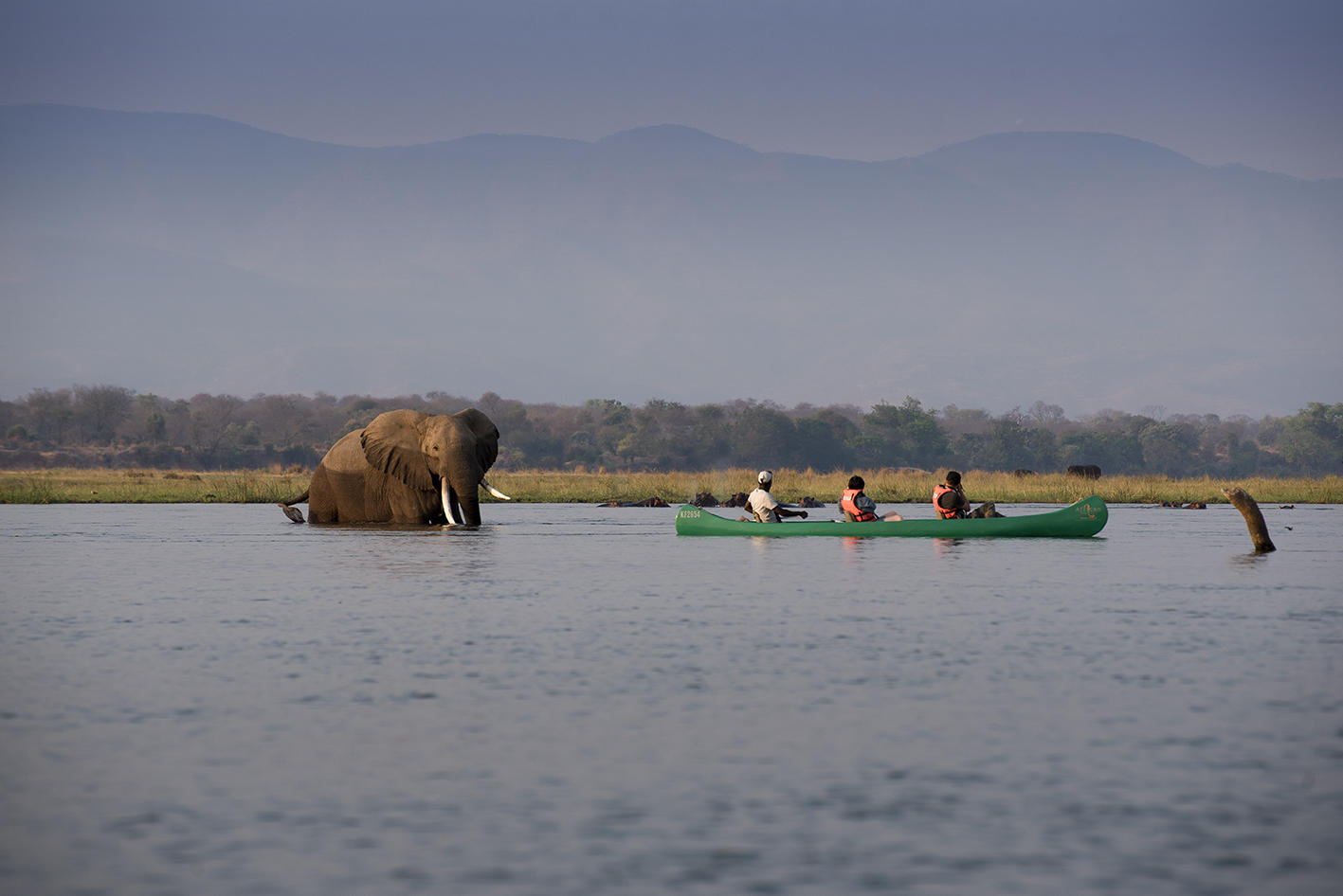 https://www.trackssafaris.co.uk/wp-content/uploads/2022/07/Zambezi-Expeditions_81.jpg