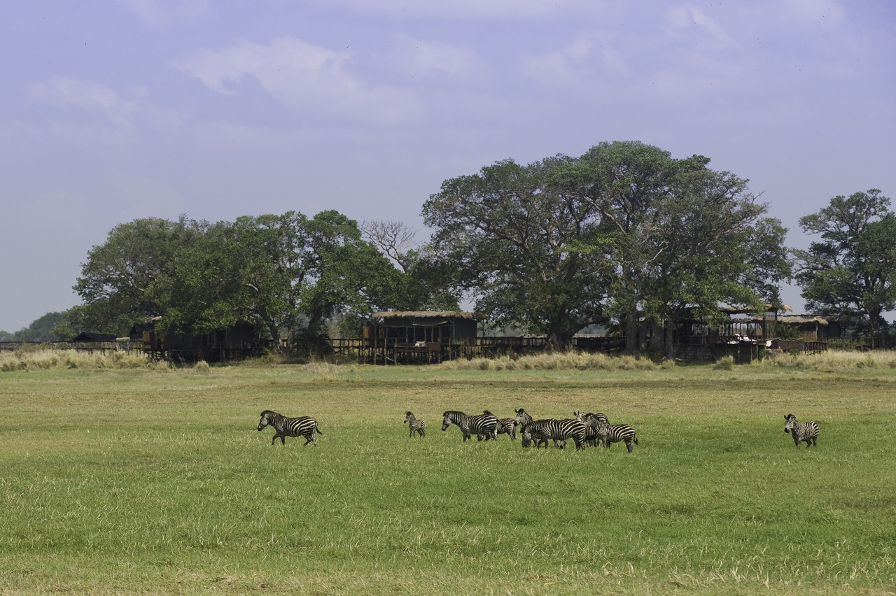 https://www.trackssafaris.co.uk/wp-content/uploads/2022/07/Zambia_08_MM_092-copy.jpg