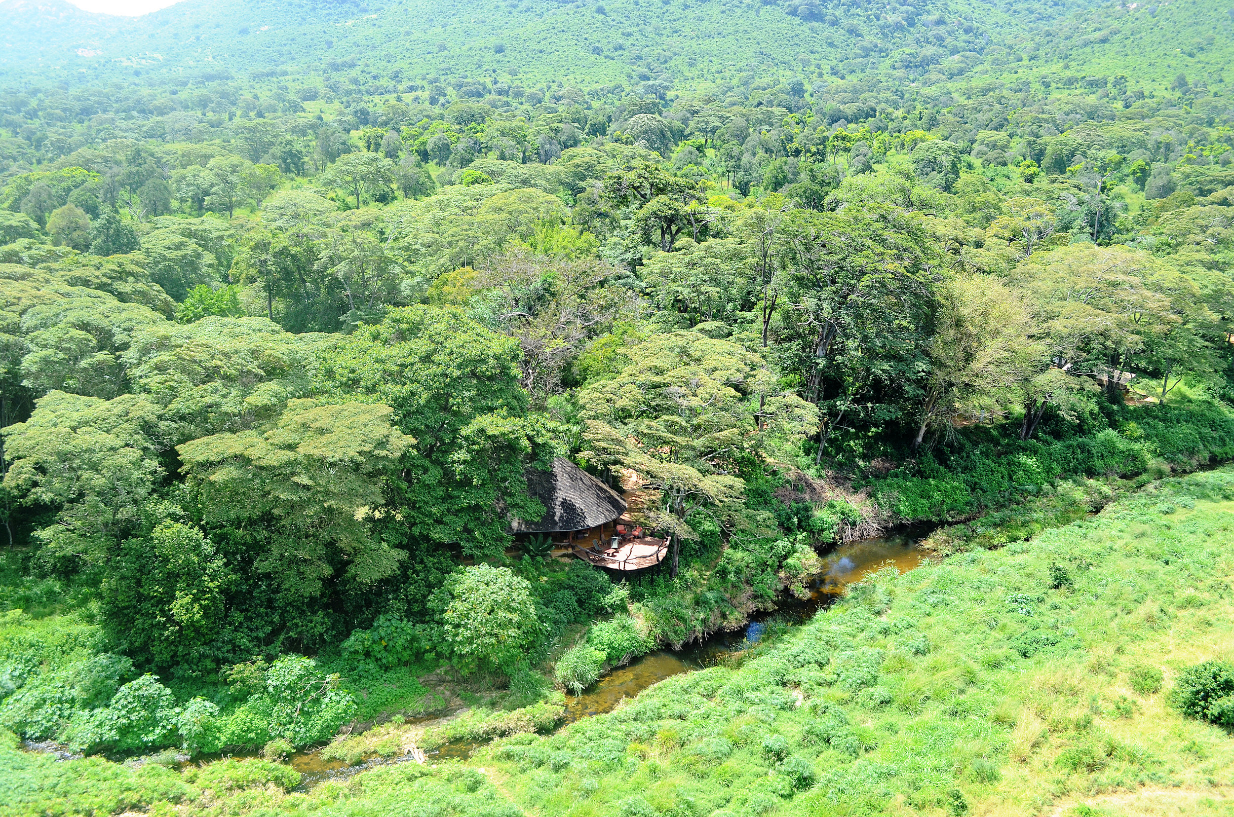 Kitich Forest Camp – Mathews Mountain Range