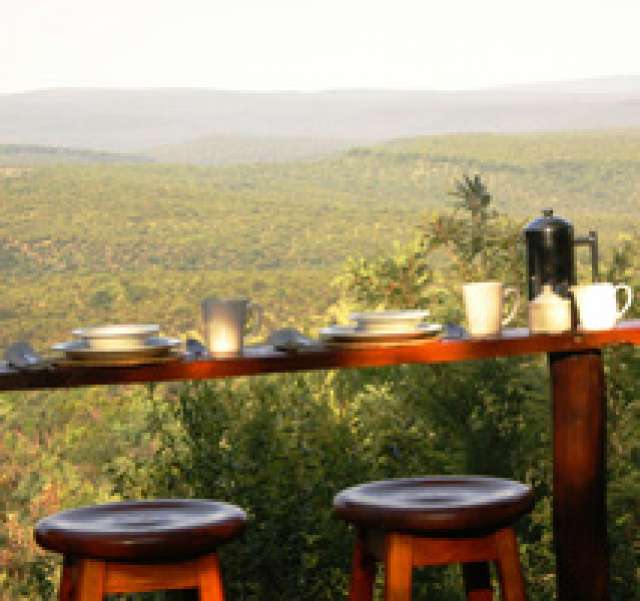 /wp-content/uploads/2022/07/ants-bushcamp-waterberg-region-2.jpg