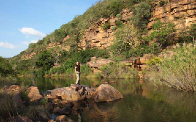 /wp-content/uploads/2022/07/ants-bushcamp-waterberg-region-3.jpg