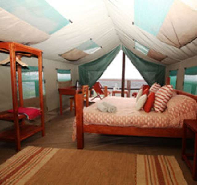 /wp-content/uploads/2022/07/ants-bushcamp-waterberg-region-4.jpg