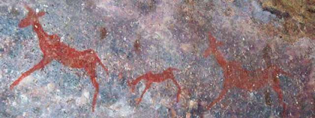/wp-content/uploads/2022/07/ants-bushcamp-waterberg-region-5.jpg