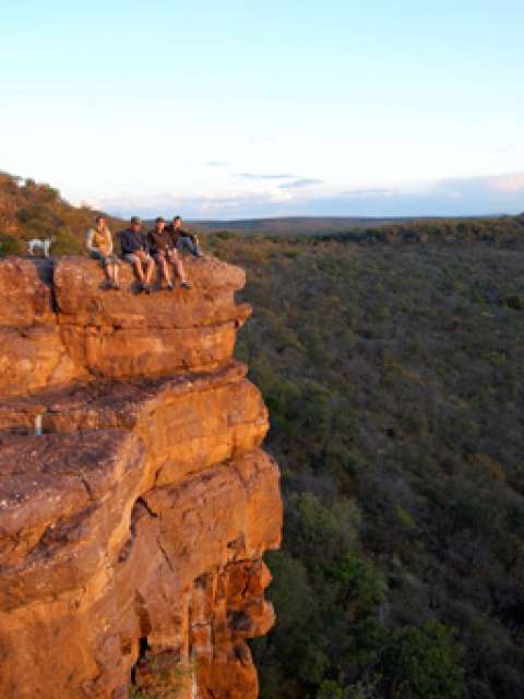 /wp-content/uploads/2022/07/ants-bushcamp-waterberg-region-7.jpg