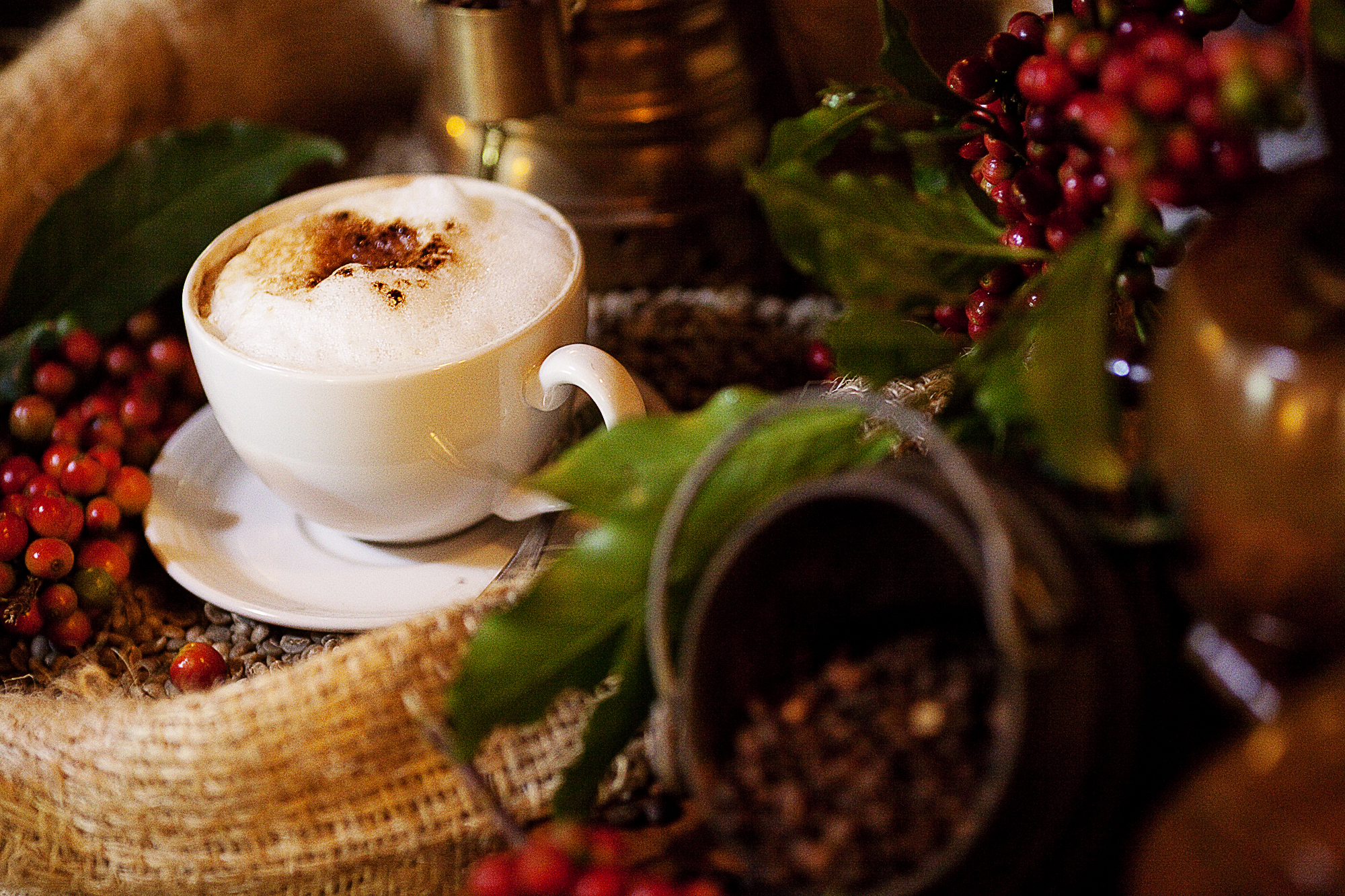 /wp-content/uploads/2022/07/arusha_coffee_lodge_-_coffee_galore.jpg
