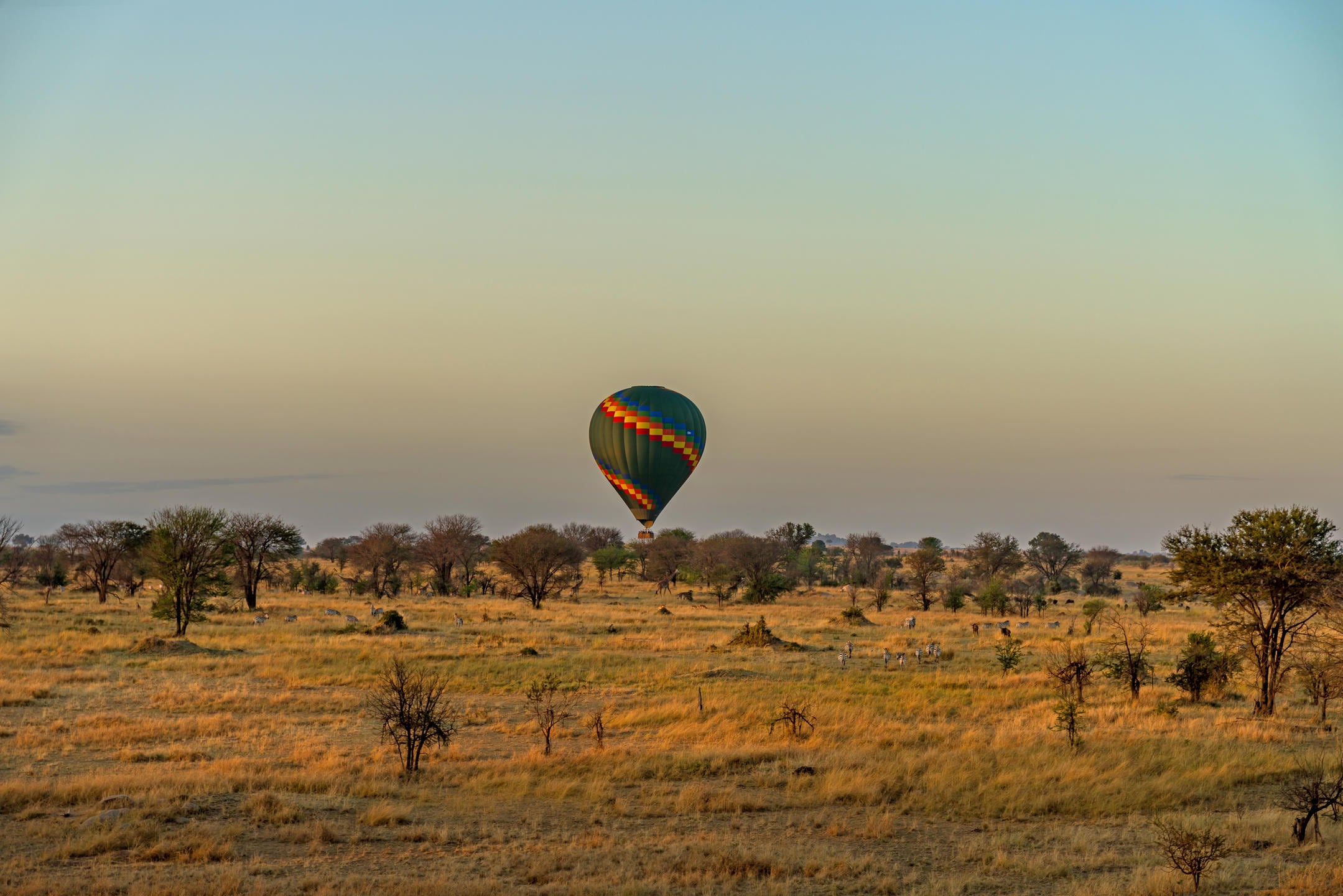 /wp-content/uploads/2022/07/balloon31.jpg