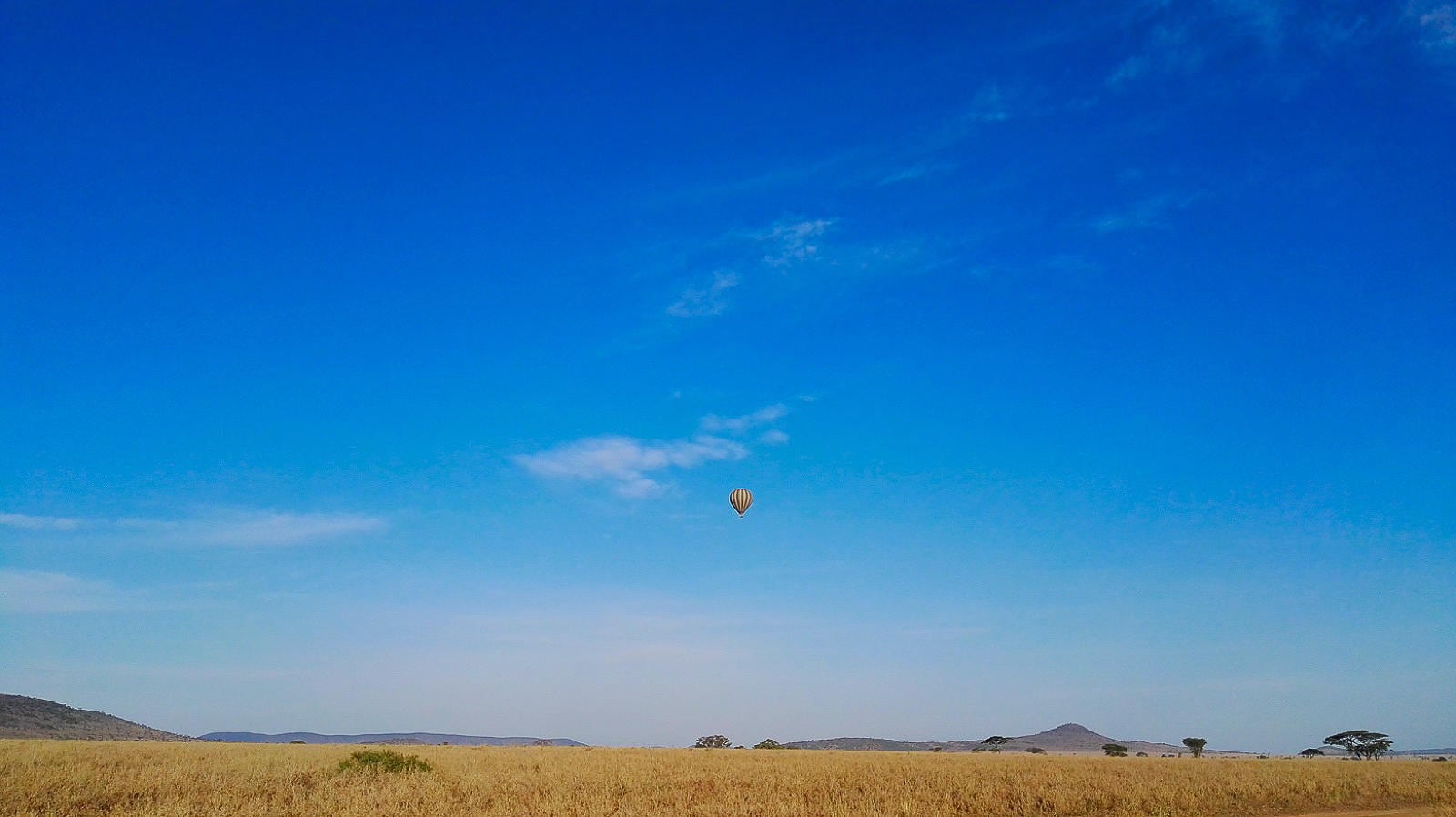/wp-content/uploads/2022/07/balloon_safari_5.jpg