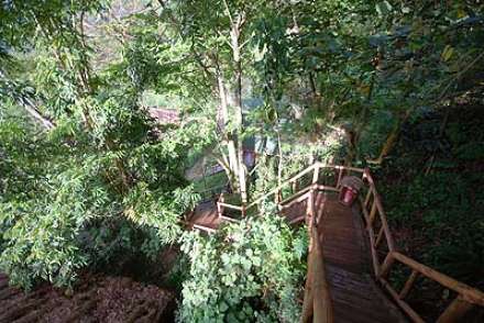 /wp-content/uploads/2022/07/buhoma-lodge-buhoma-bwindi-4_thumb.jpg