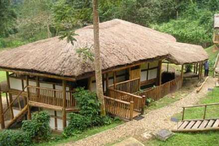 /wp-content/uploads/2022/07/buhoma-lodge-buhoma-bwindi-6_thumb.jpg