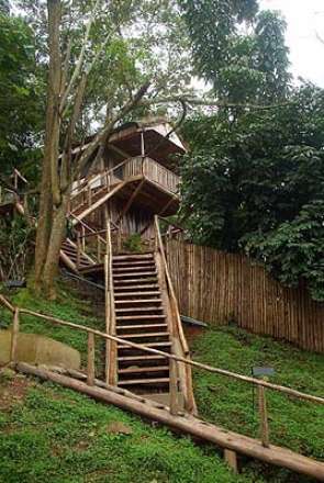 /wp-content/uploads/2022/07/buhoma-lodge-buhoma-bwindi-7_thumb.jpg