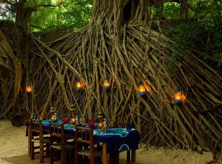 /wp-content/uploads/2022/07/chole-mjini-lodge-4_thumb.jpg