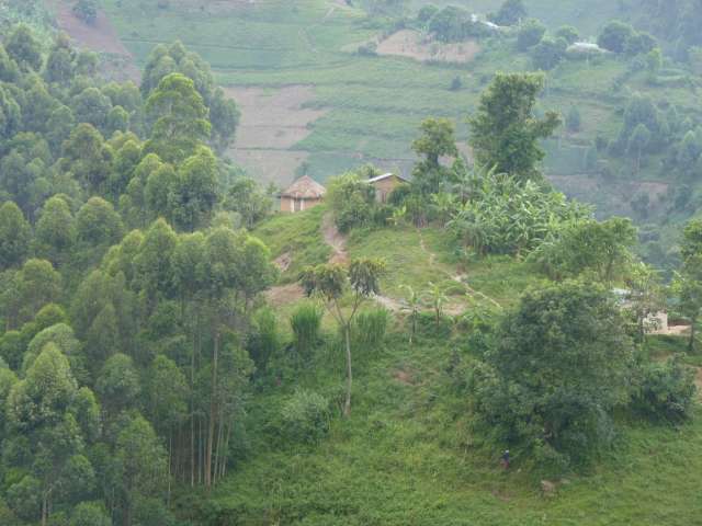 /wp-content/uploads/2022/07/clouds-mountain-gorilla-lodge-12.jpg