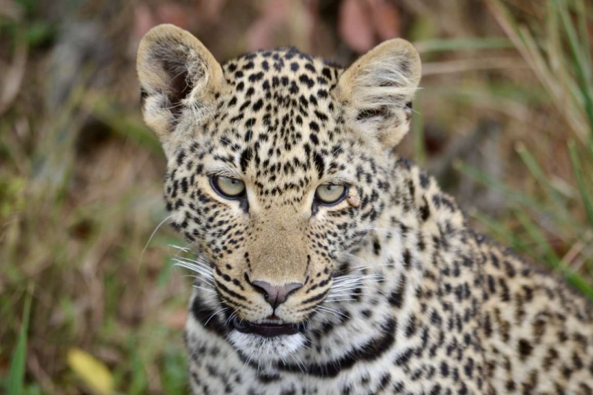 https://www.trackssafaris.co.uk/wp-content/uploads/2022/07/e_13.jpg