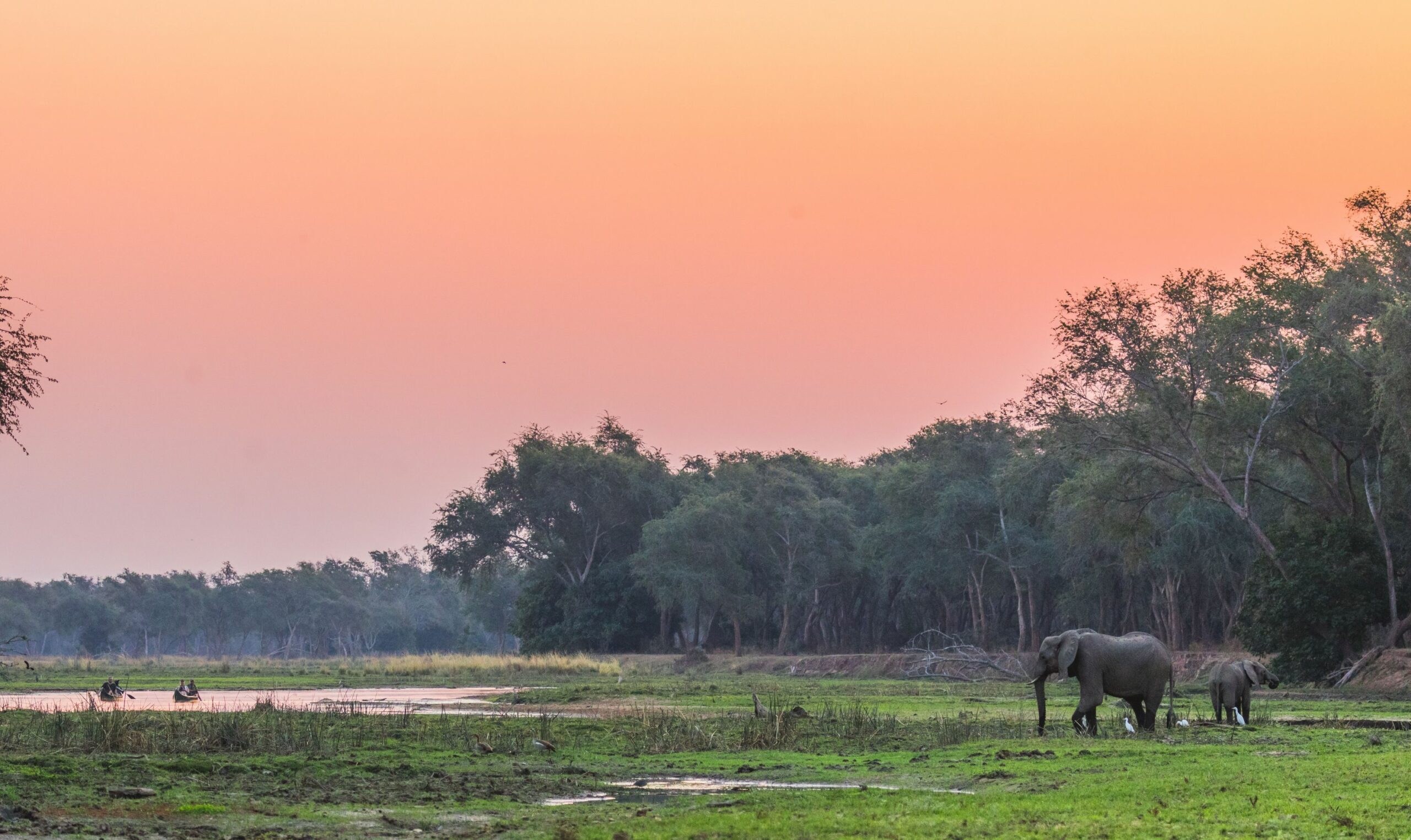 https://www.trackssafaris.co.uk/wp-content/uploads/2022/07/elephants-and-canoe1-scaled.jpg