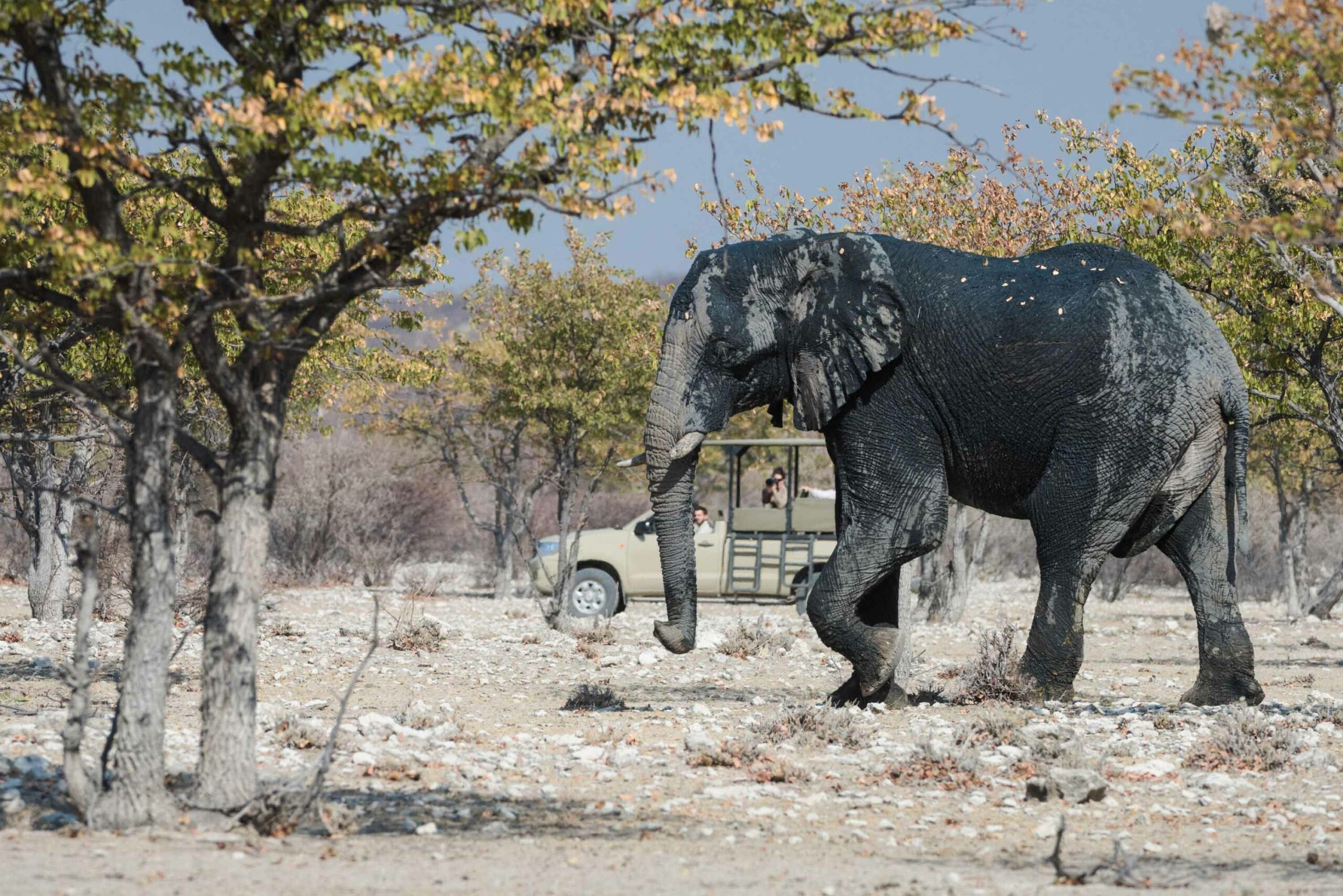 Etosha-Mountain-Lodge-Aerial-View-scaled