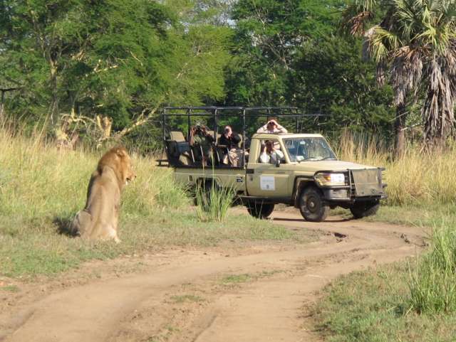 /wp-content/uploads/2022/07/explore-gorongosa-8.jpg