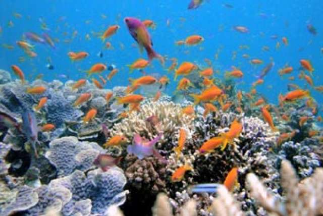 /wp-content/uploads/2022/07/fundu-lagoon-pemba-island-6.jpg