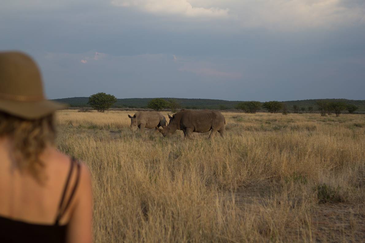 https://www.trackssafaris.co.uk/wp-content/uploads/2022/07/image00254-copy-2.jpg