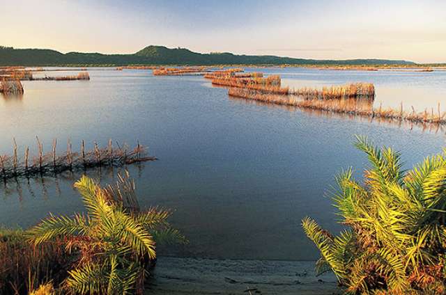 /wp-content/uploads/2022/07/kosi-forest-lodge-isimangaliso-wetland-1.jpg
